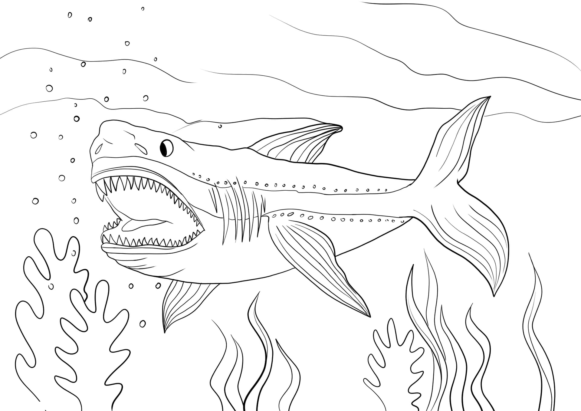 Megalodon shark