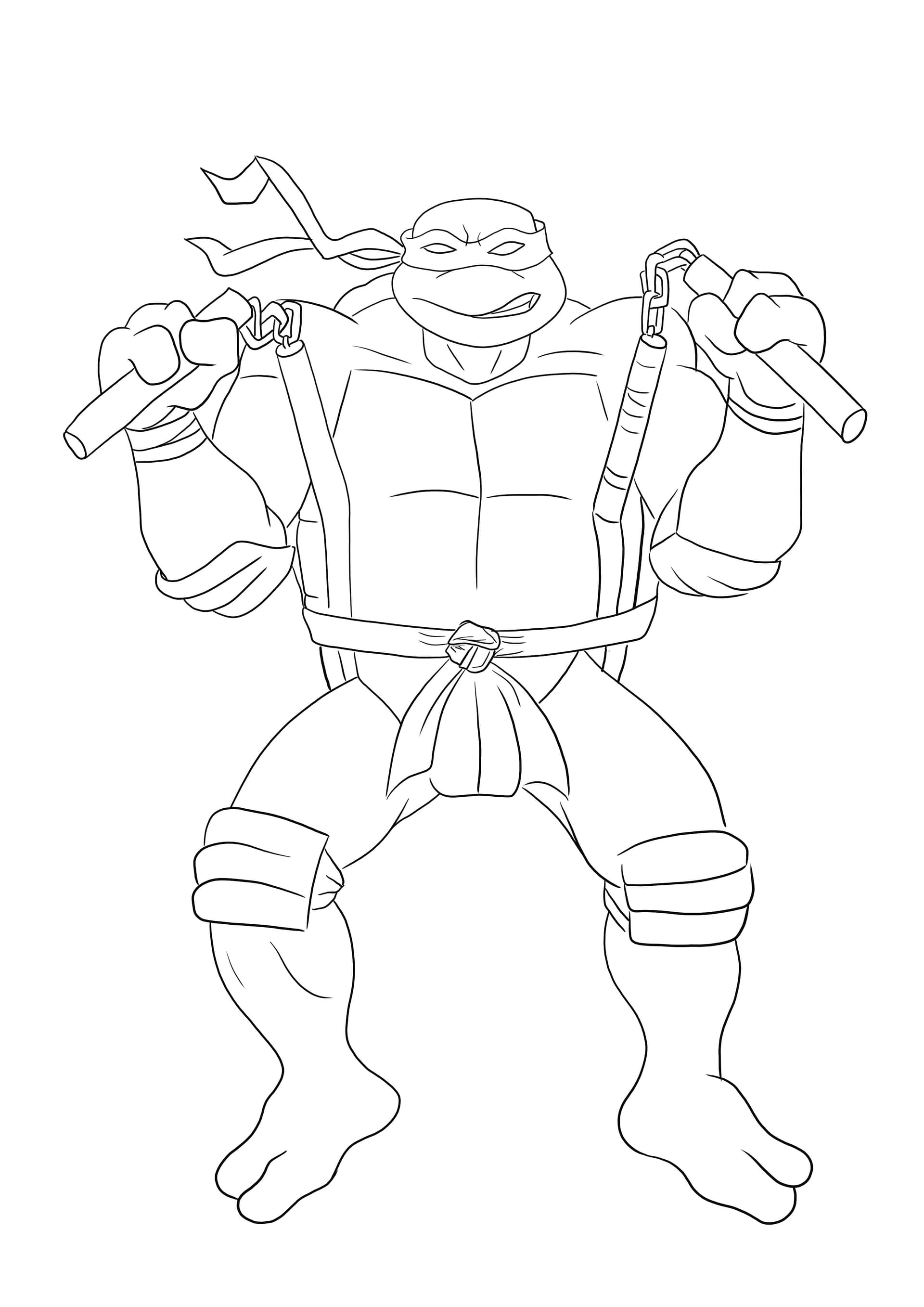 Michelangelo Ninja Turtle