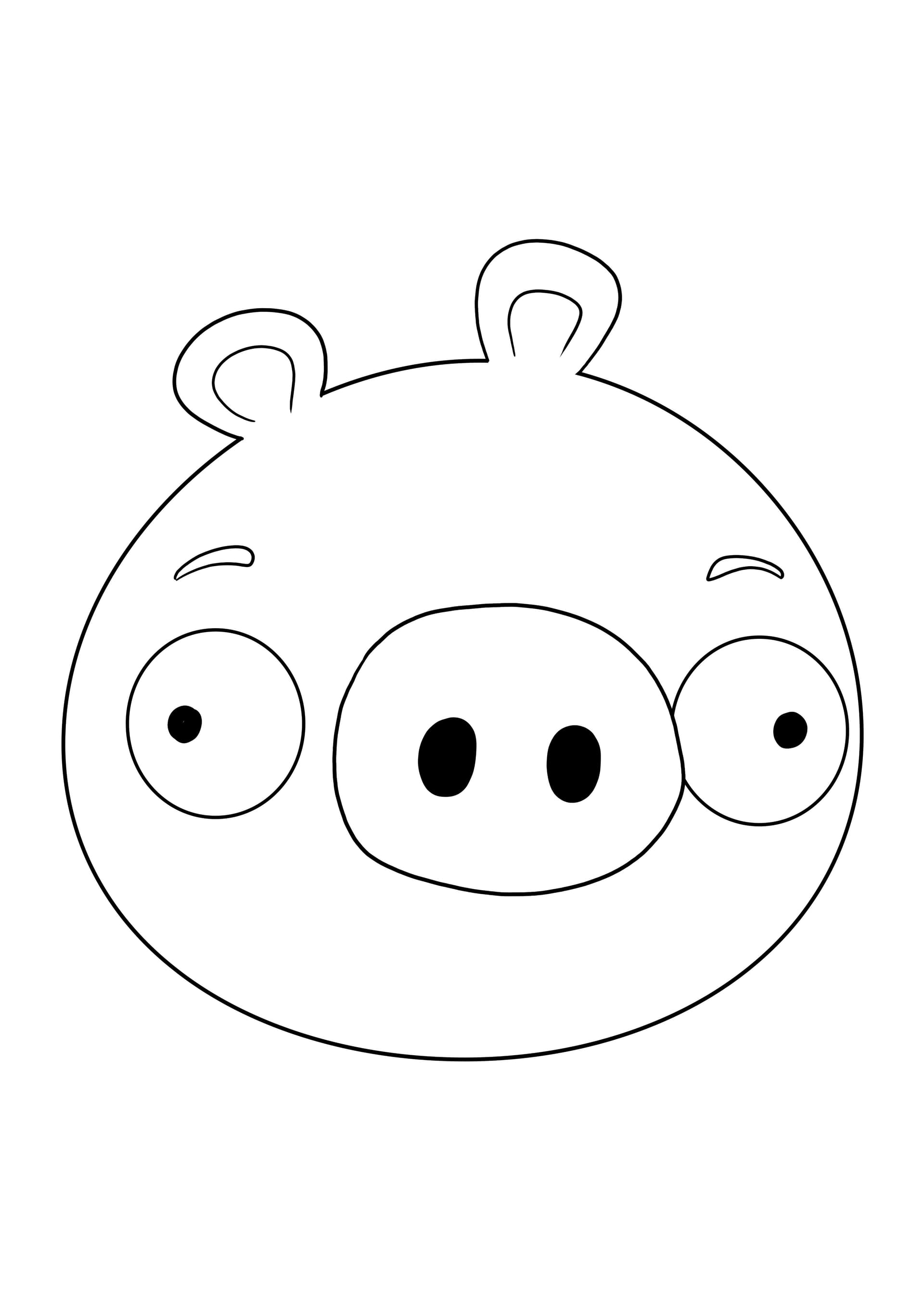 Minion pigs' face