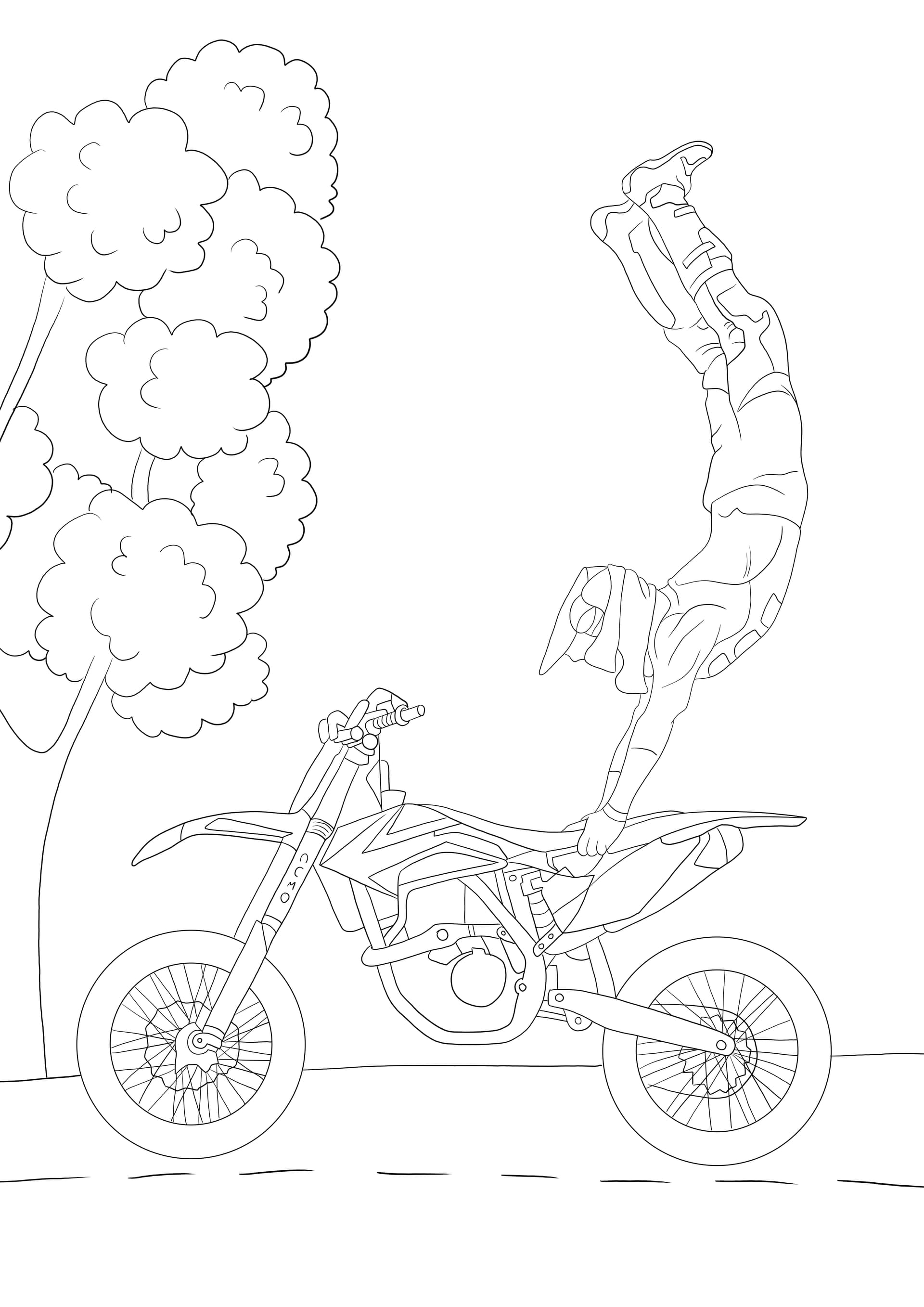 Motorbike and the jumping driver