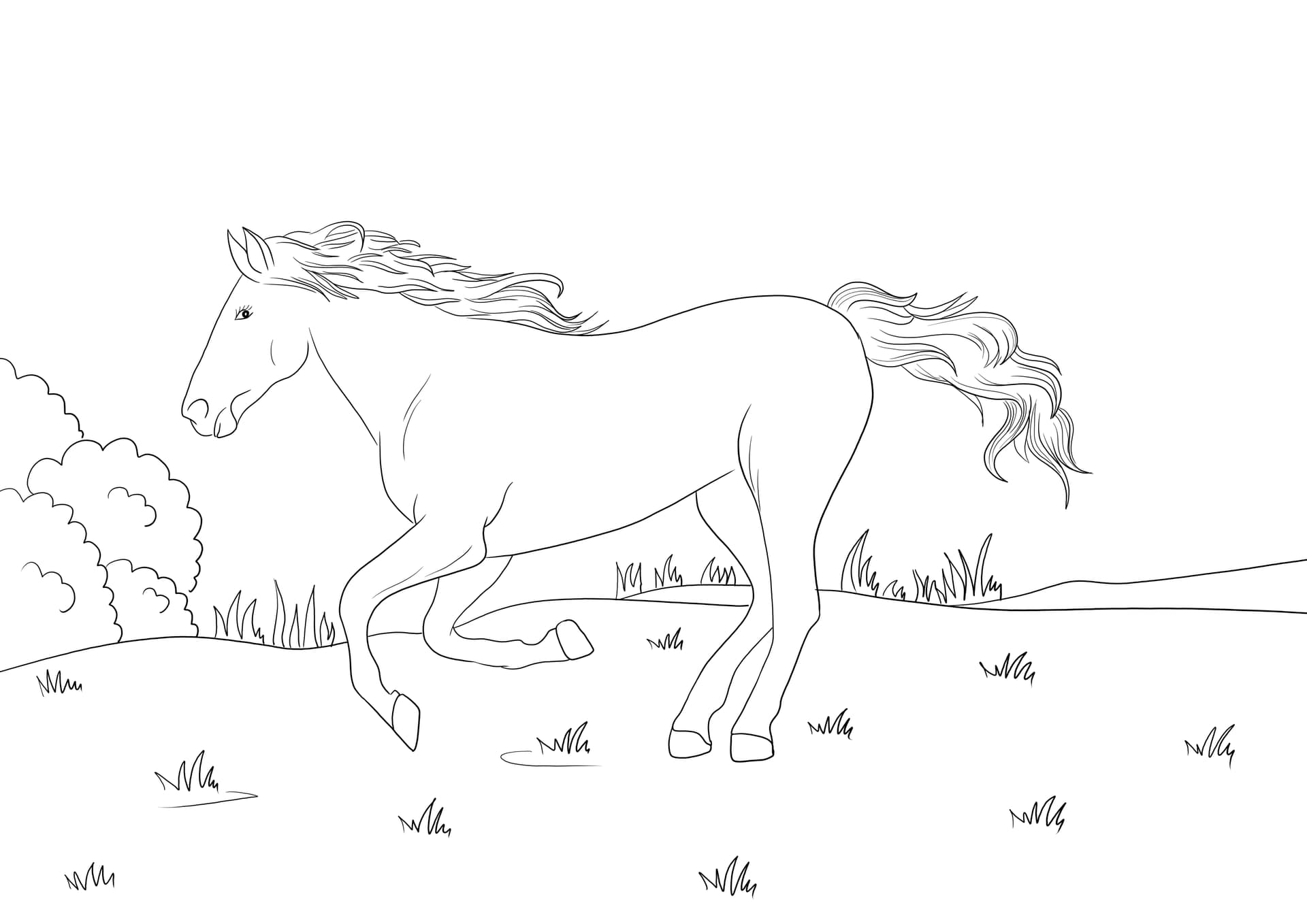 Mustang Horse