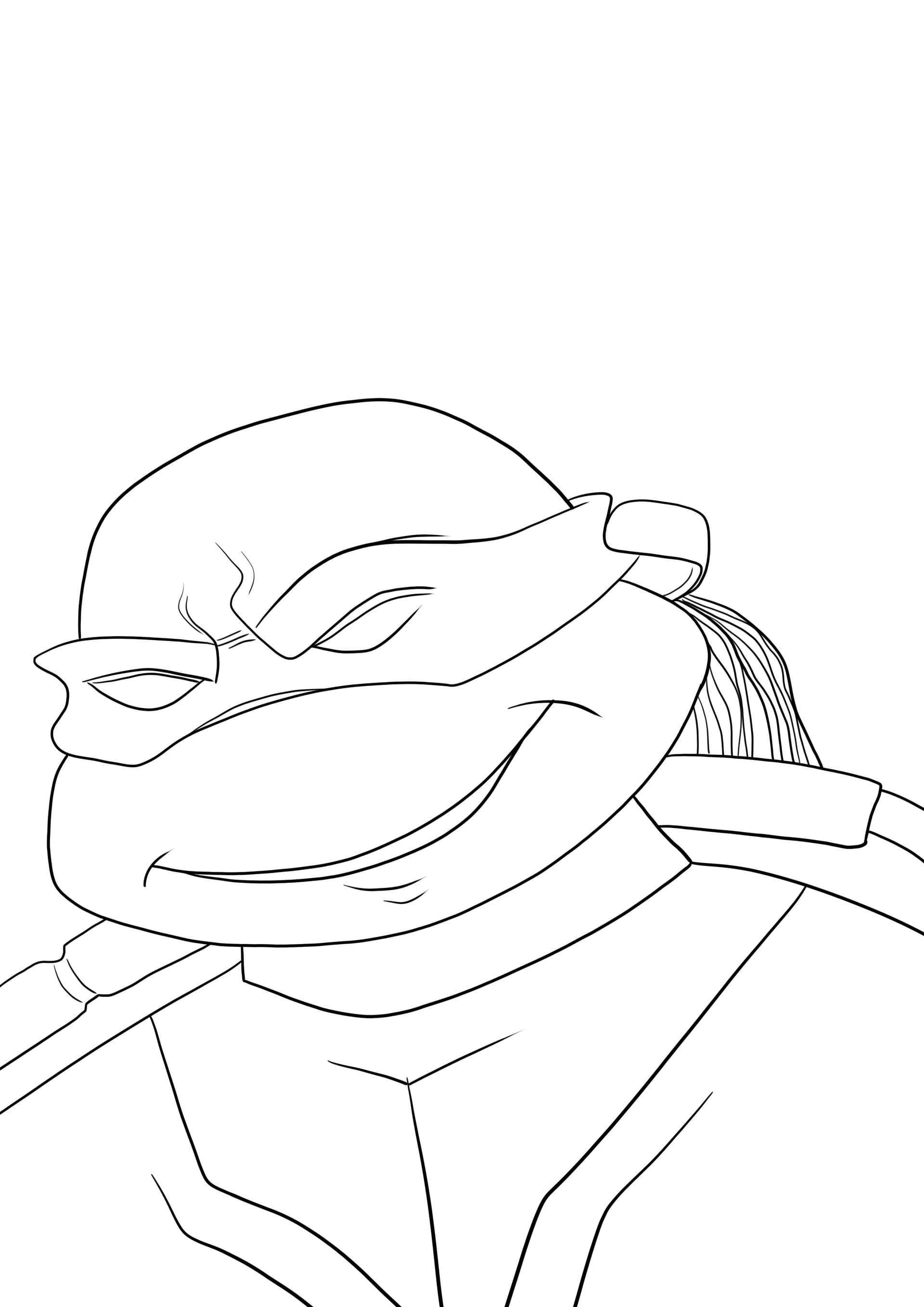 Ninja Turtle face