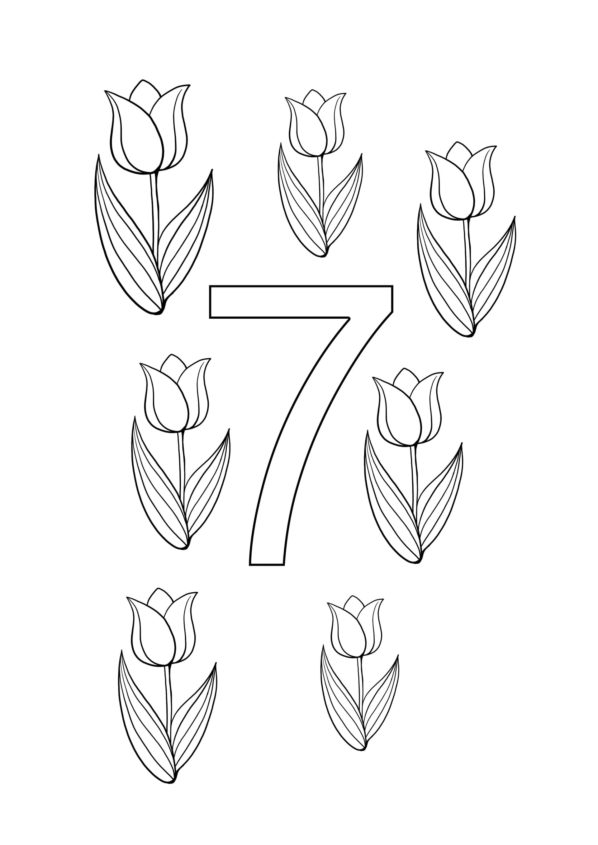 number seven