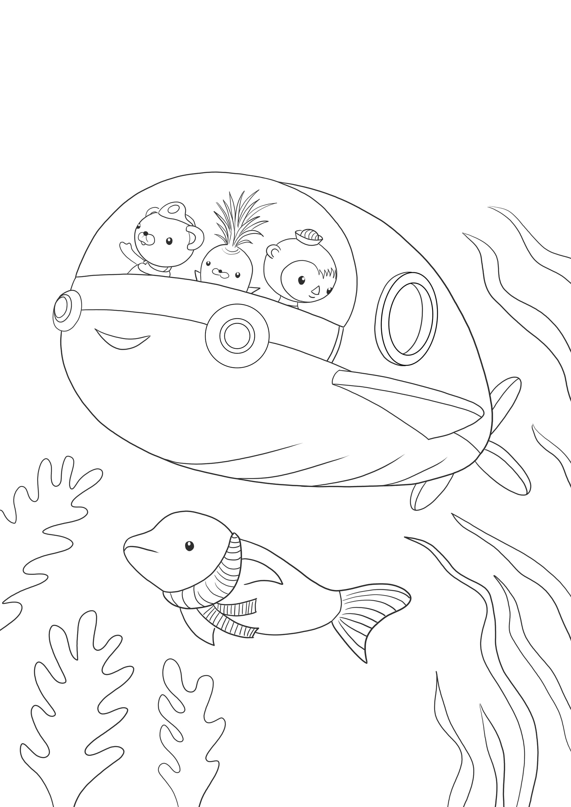 The Octonauts exploring