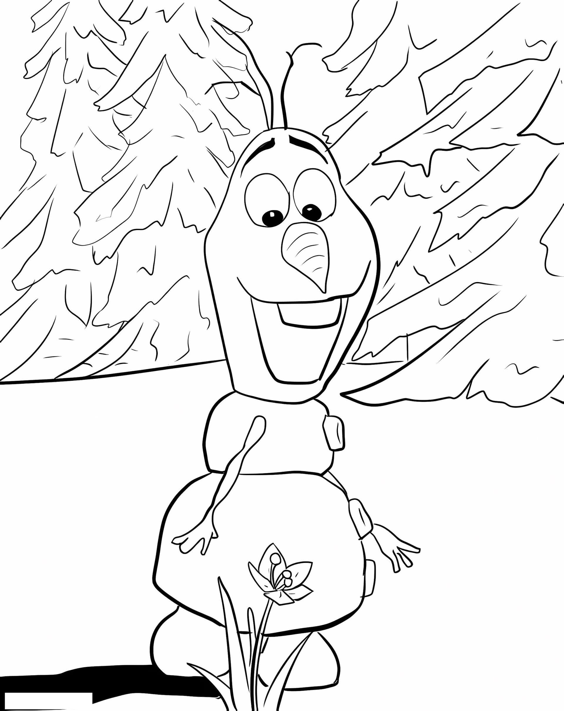 Olaf Et Fleur