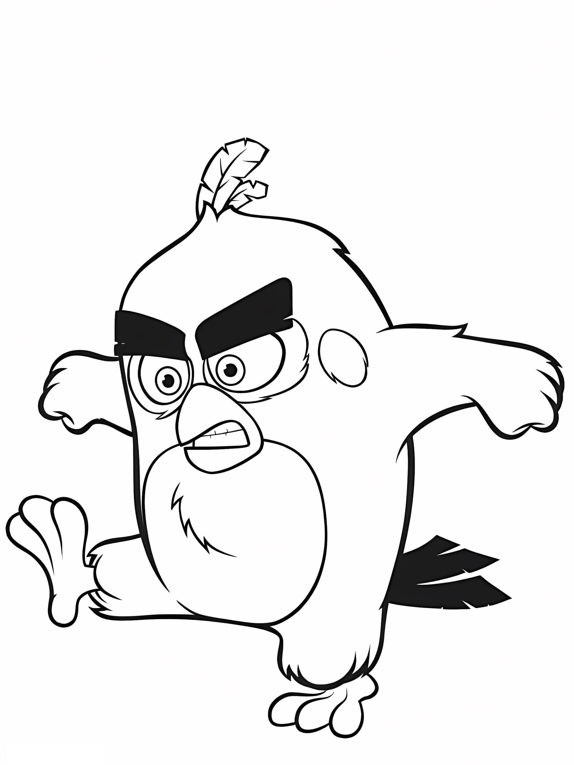 Angry Cool Red Birds