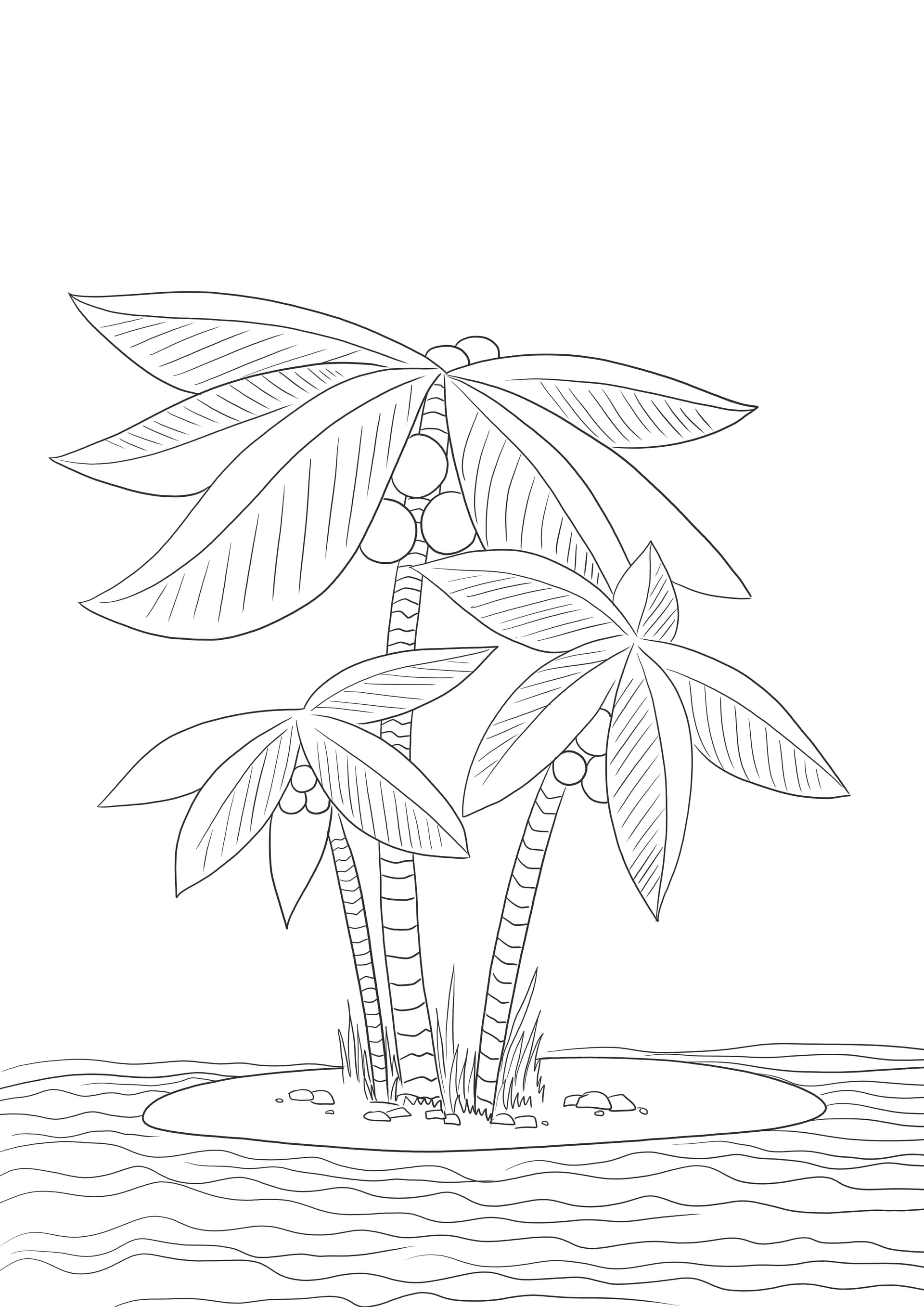 Palm trees