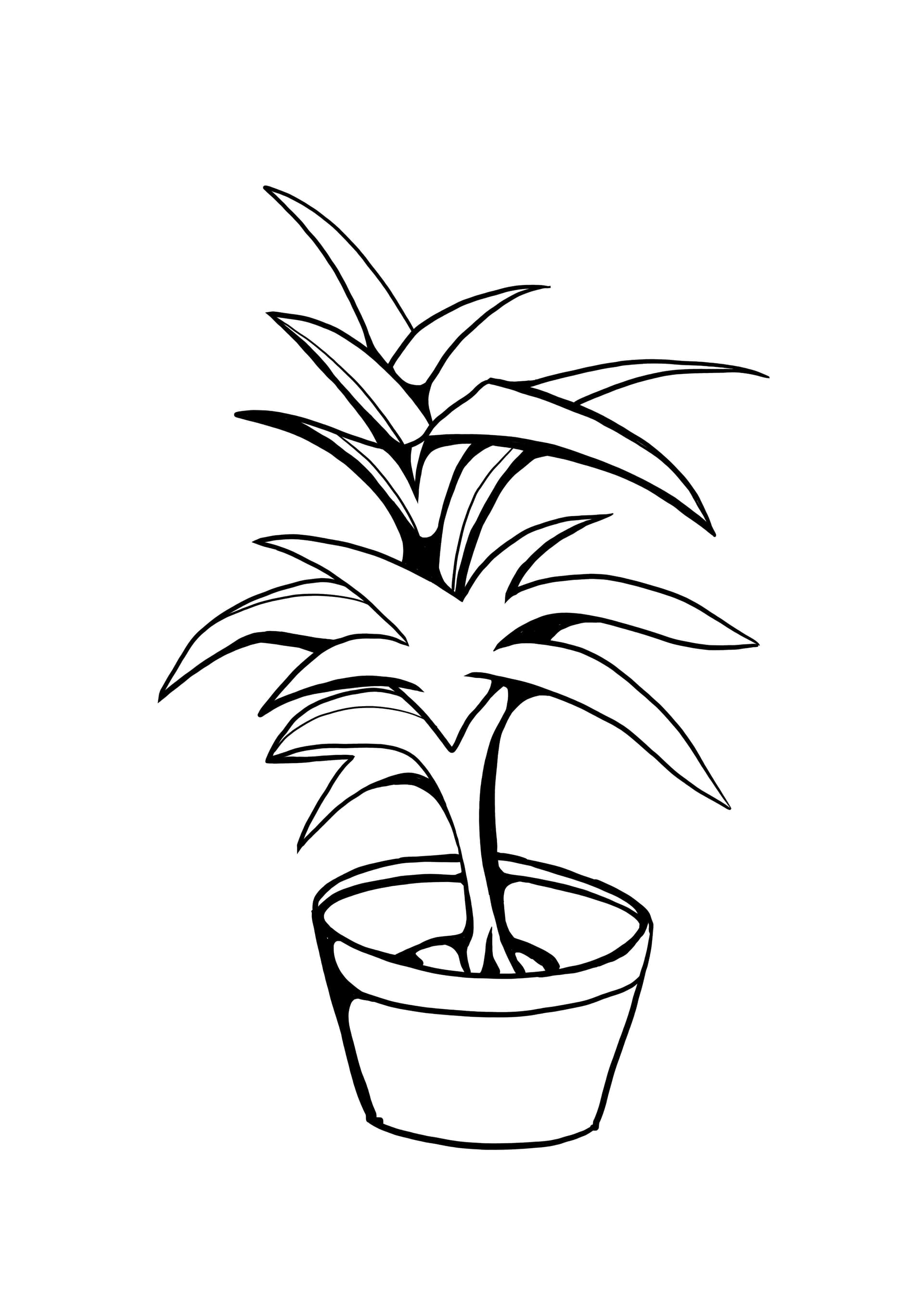 palmwedel