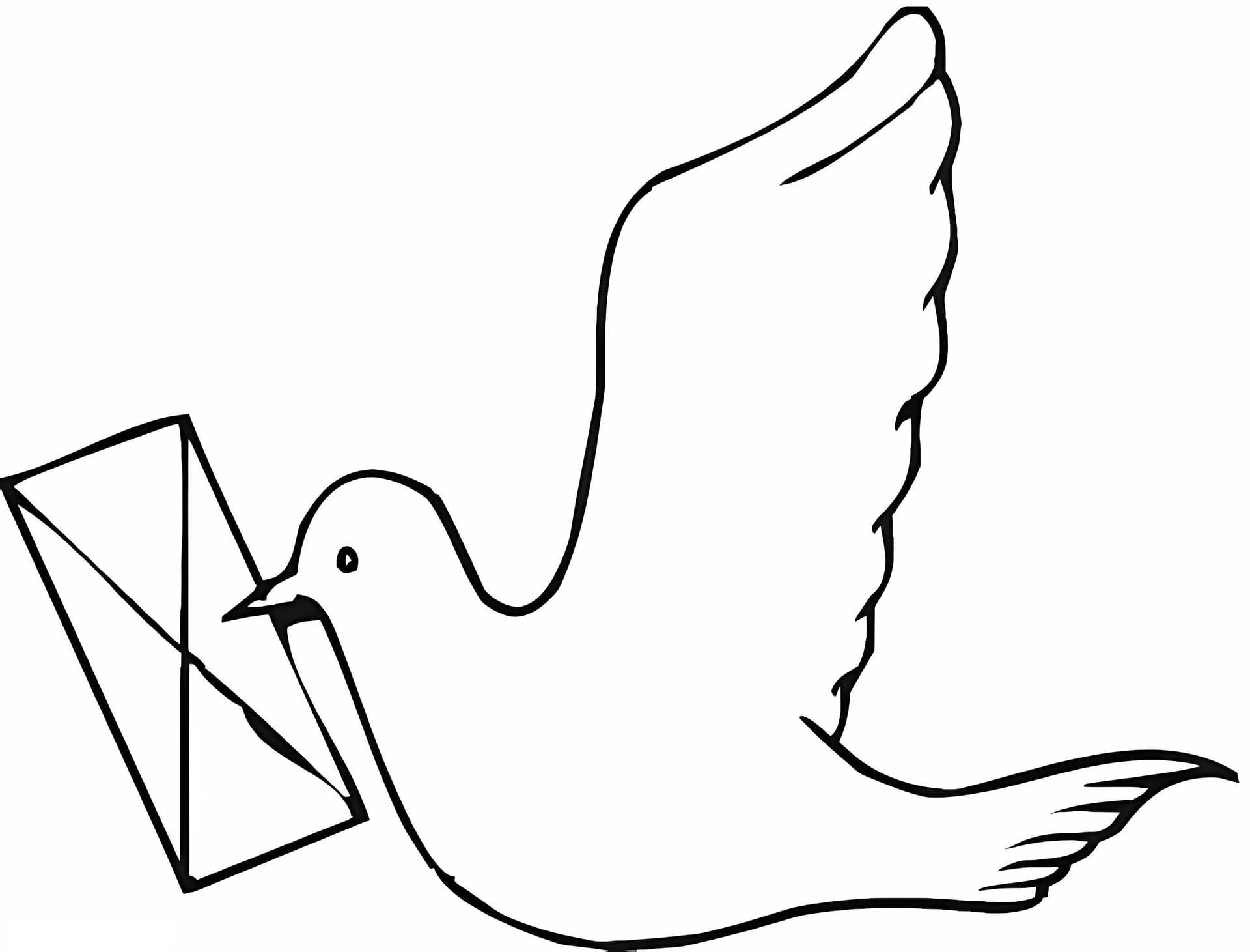 Dove With Letter