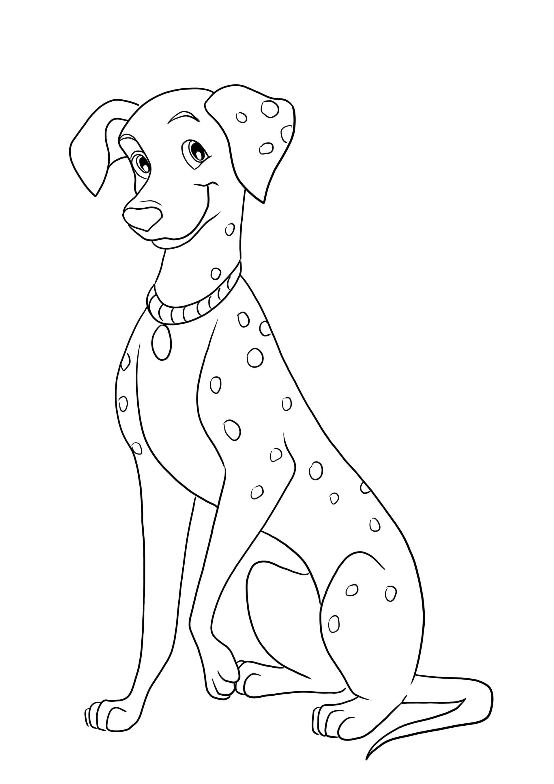 Perdita