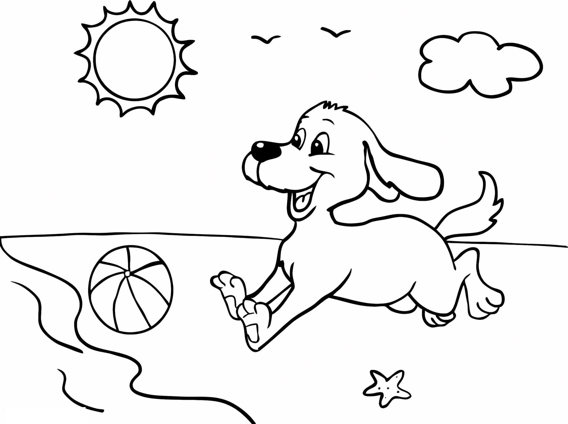 Dog Playing With The Ball On The Beach