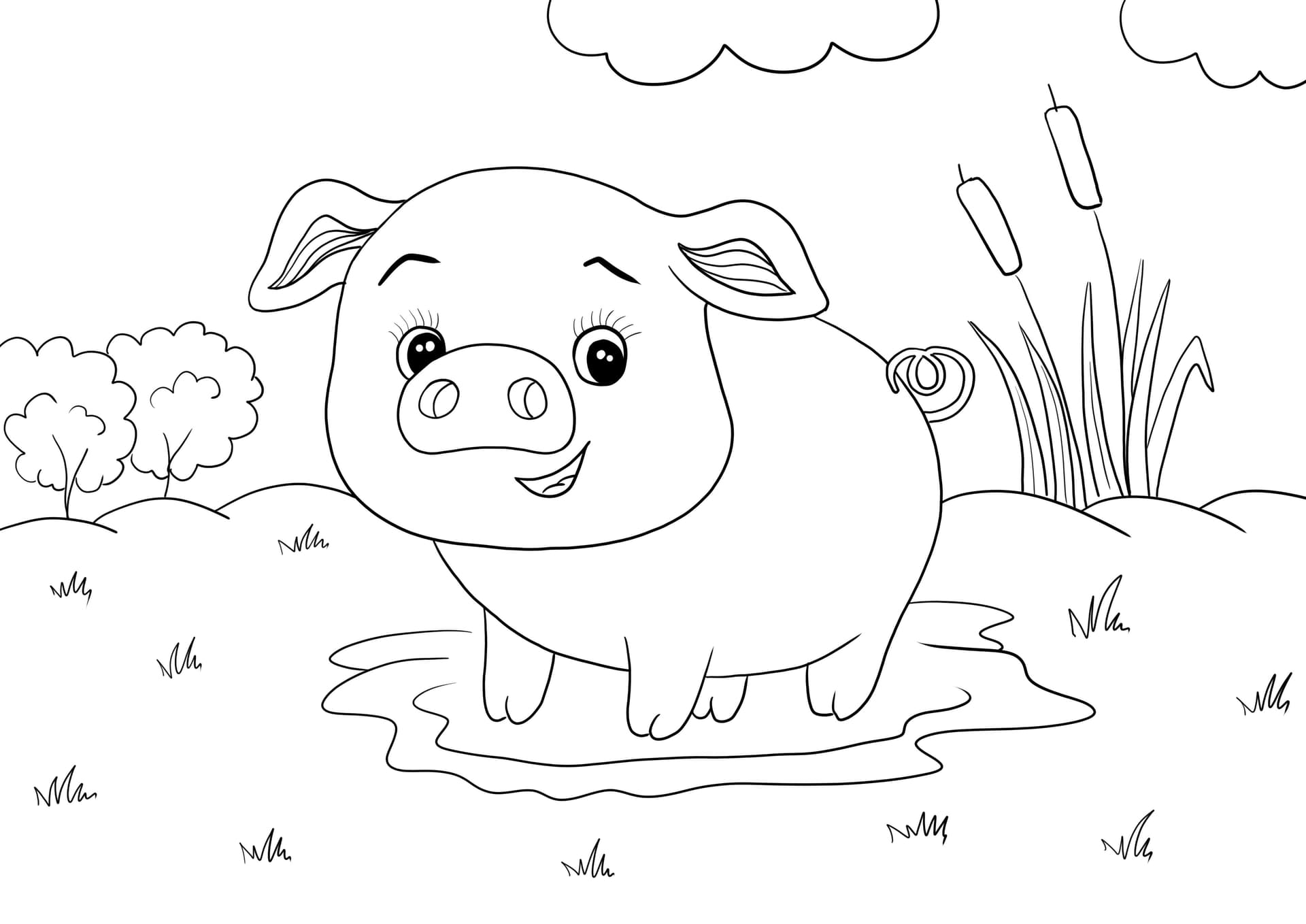 Piglet in a puddle