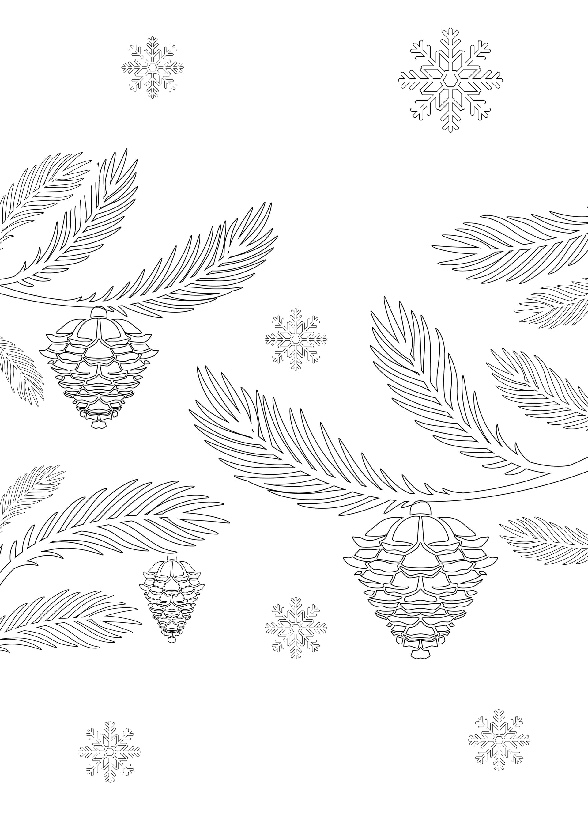 Pine branches and cones