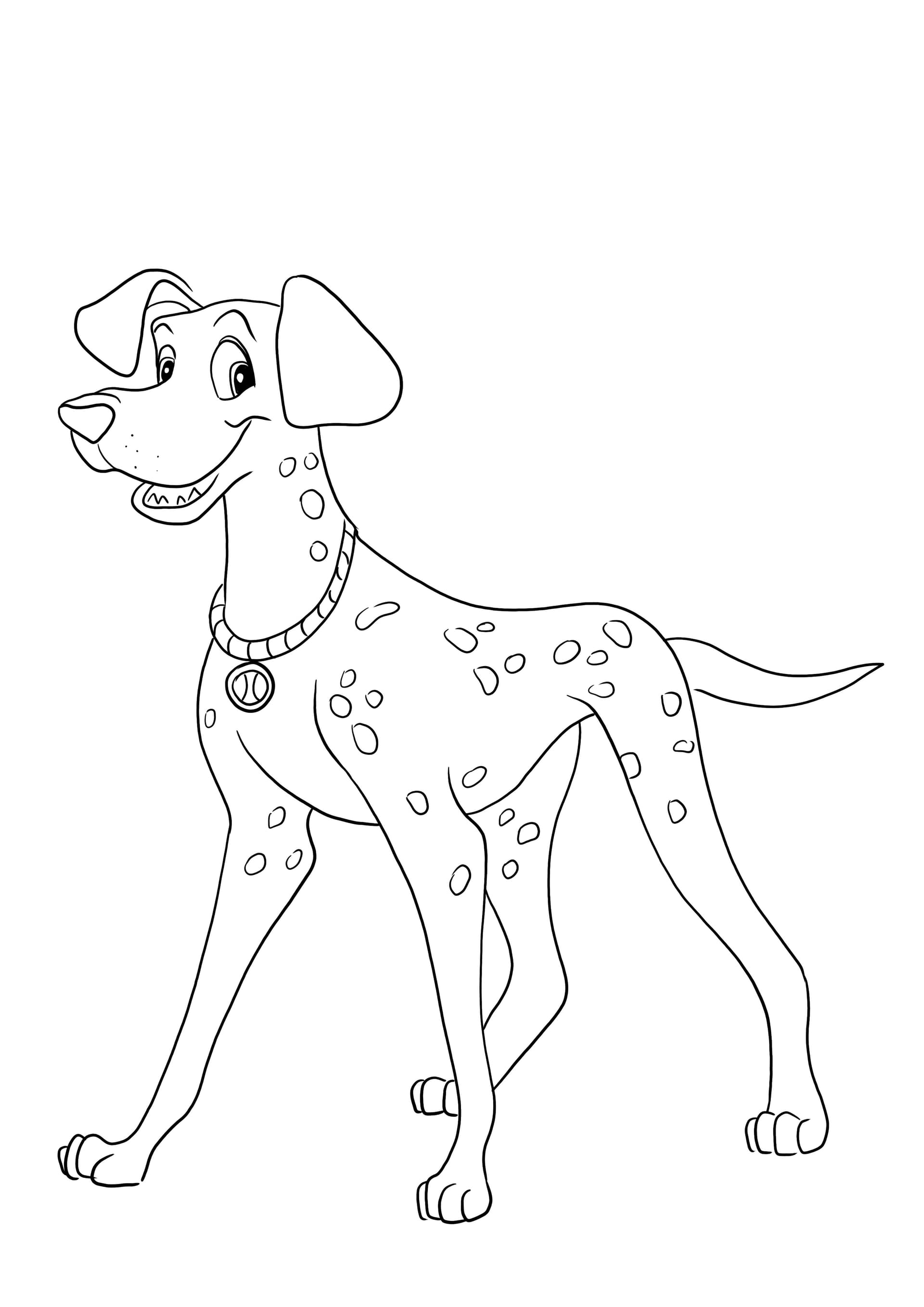 Pongo