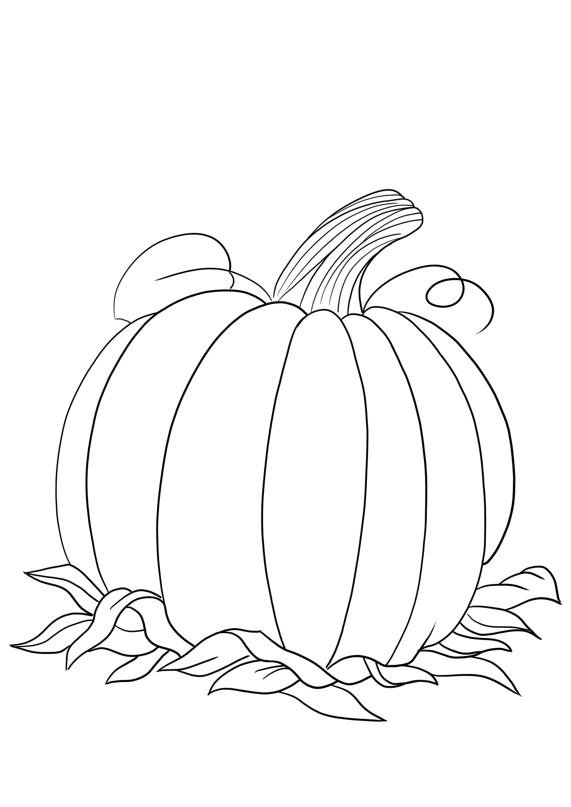 Pumpkin