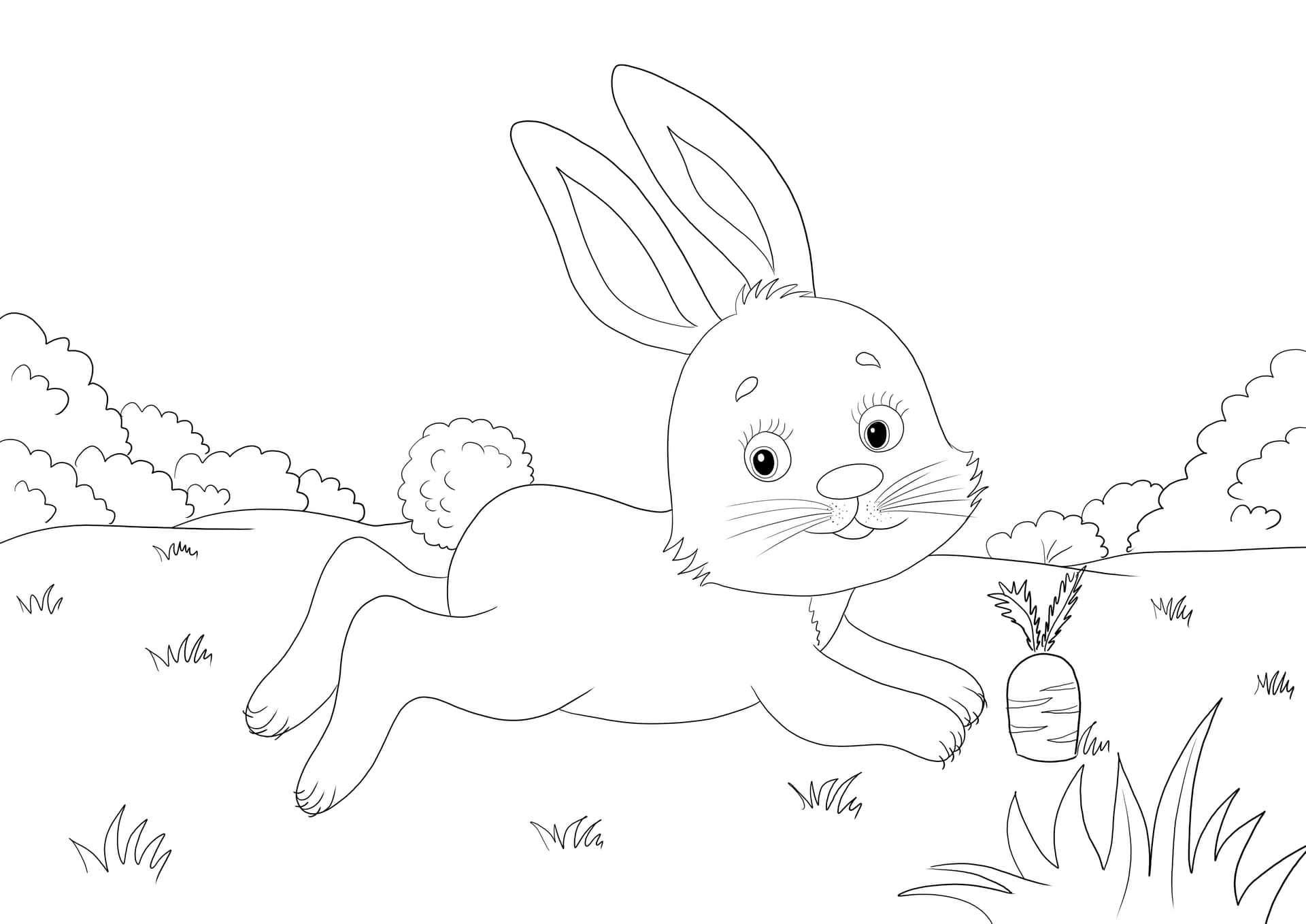 Little rabbit