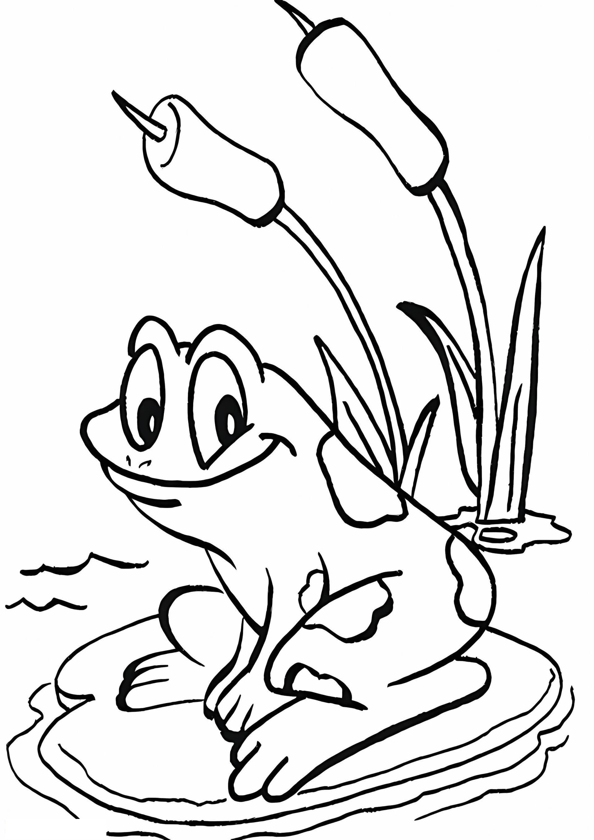 Frog And Flowers