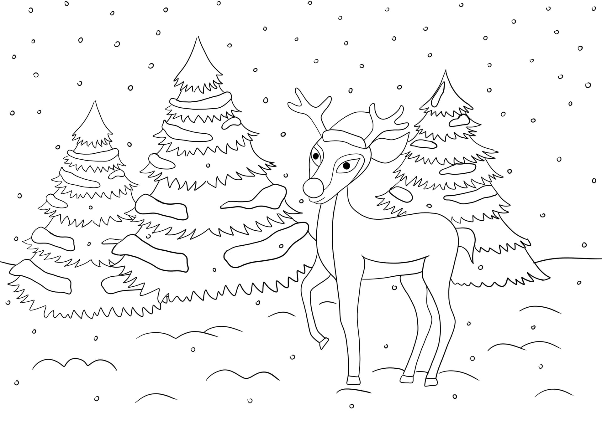Rednosed reindeer in the forest