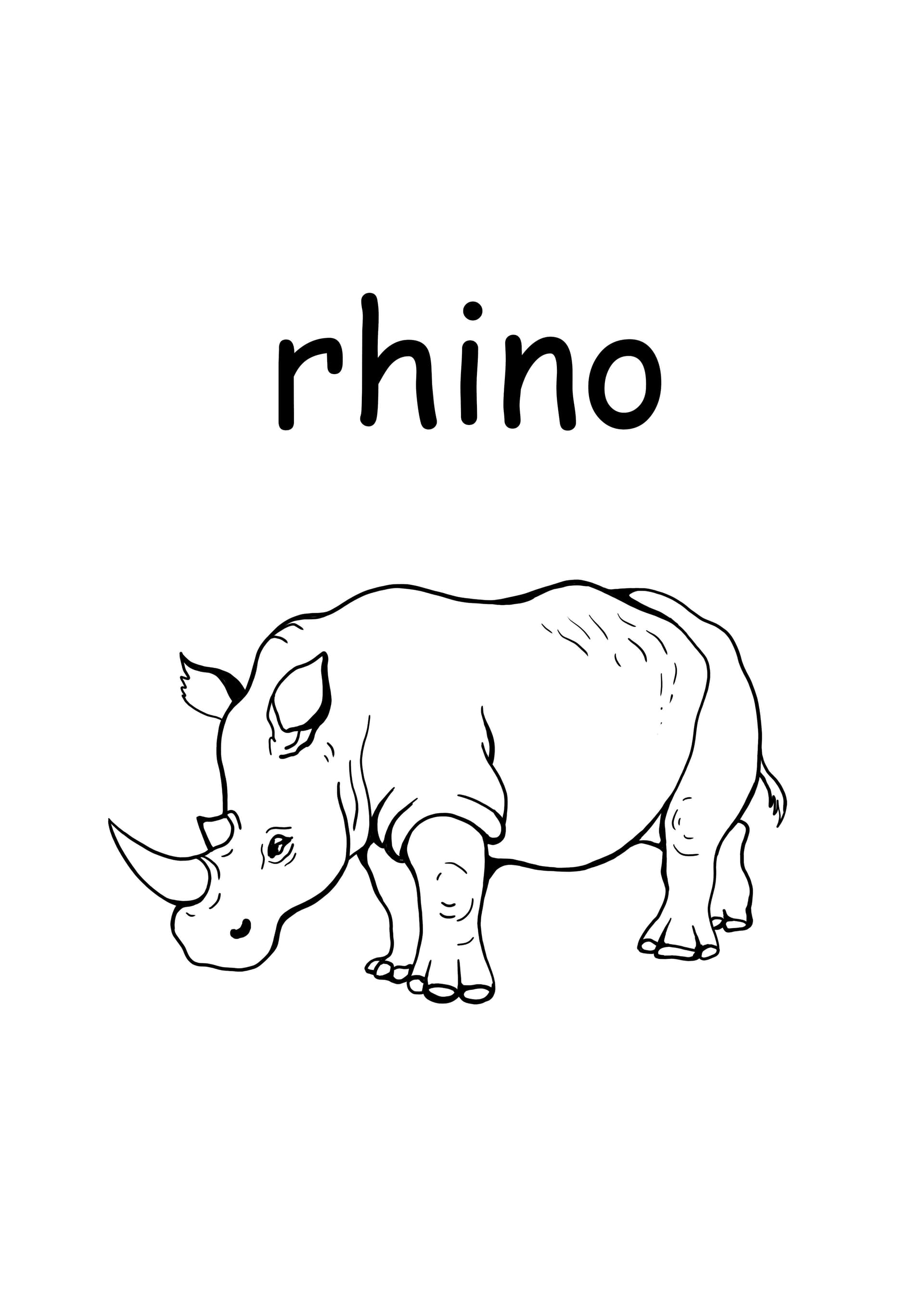 r - rhino