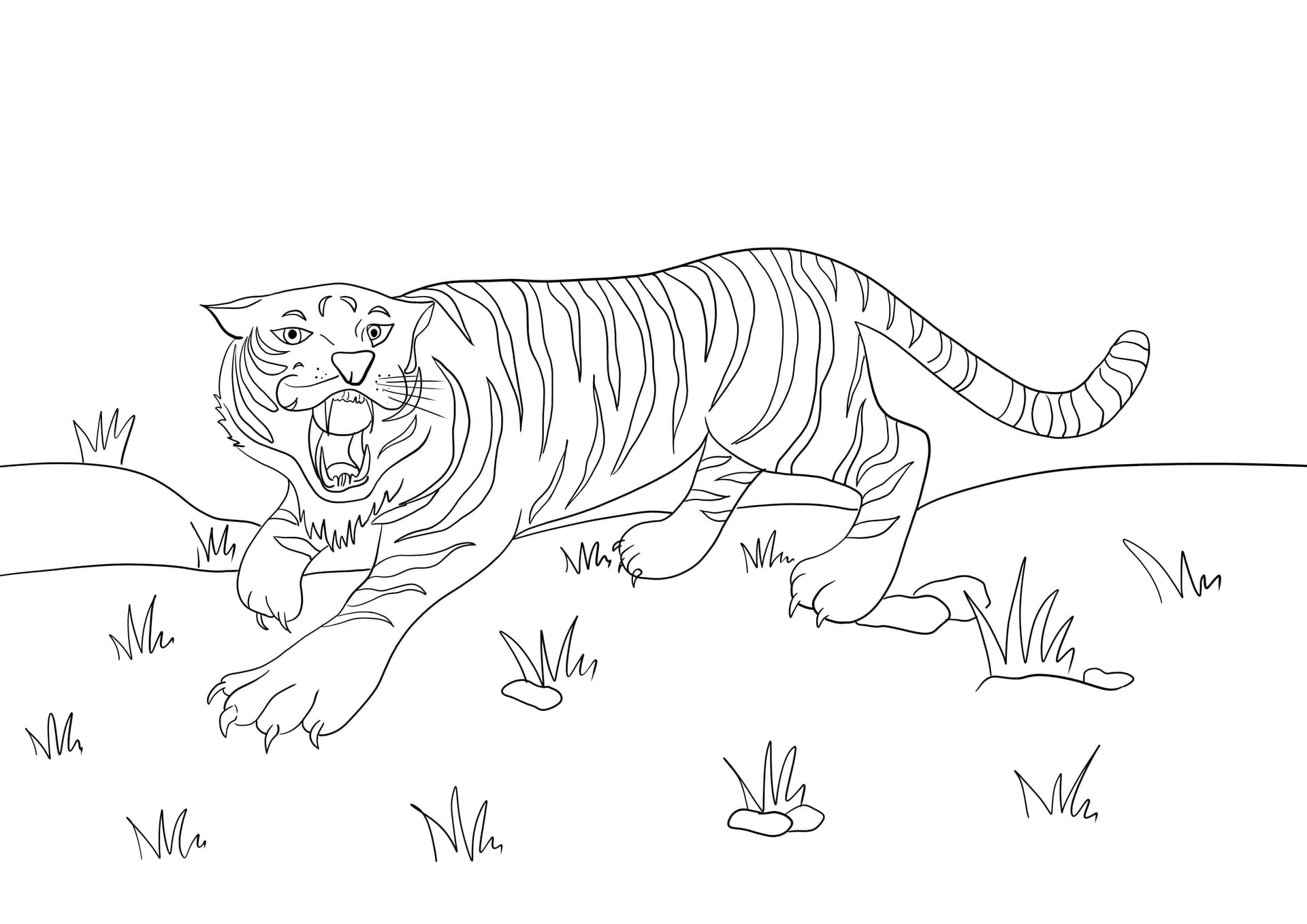 Roaring tiger