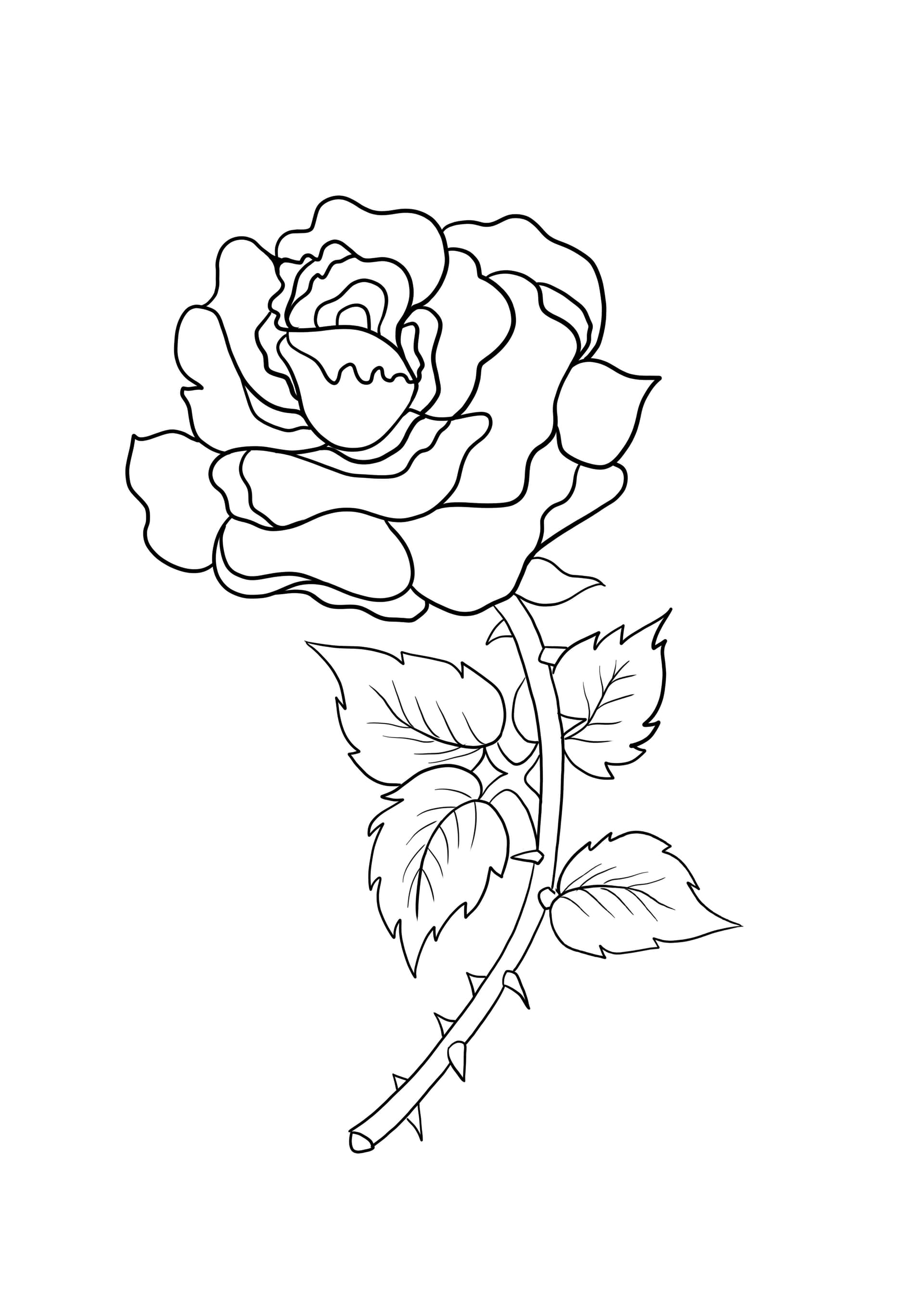 Rose with thorns