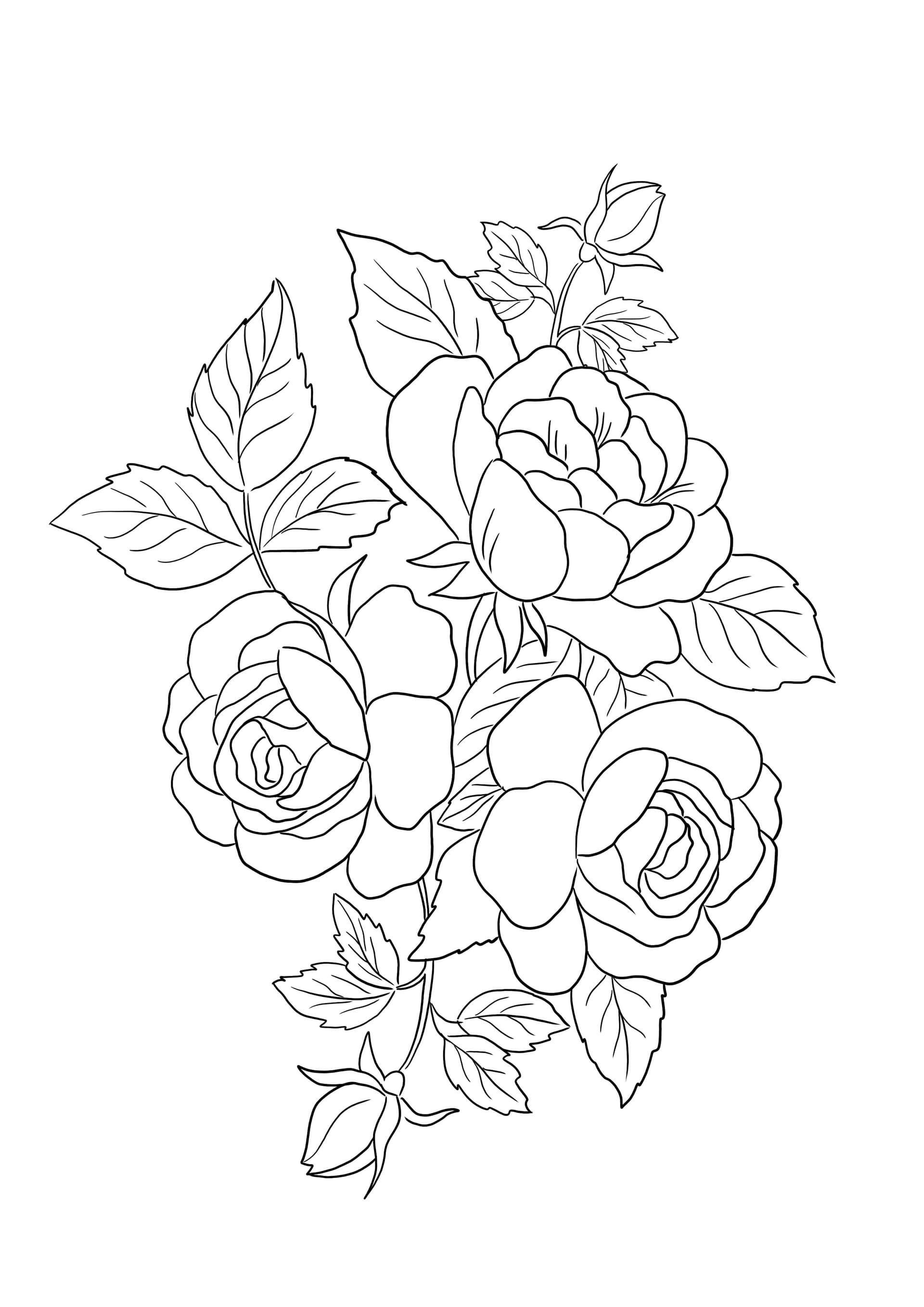 Roses Flowers