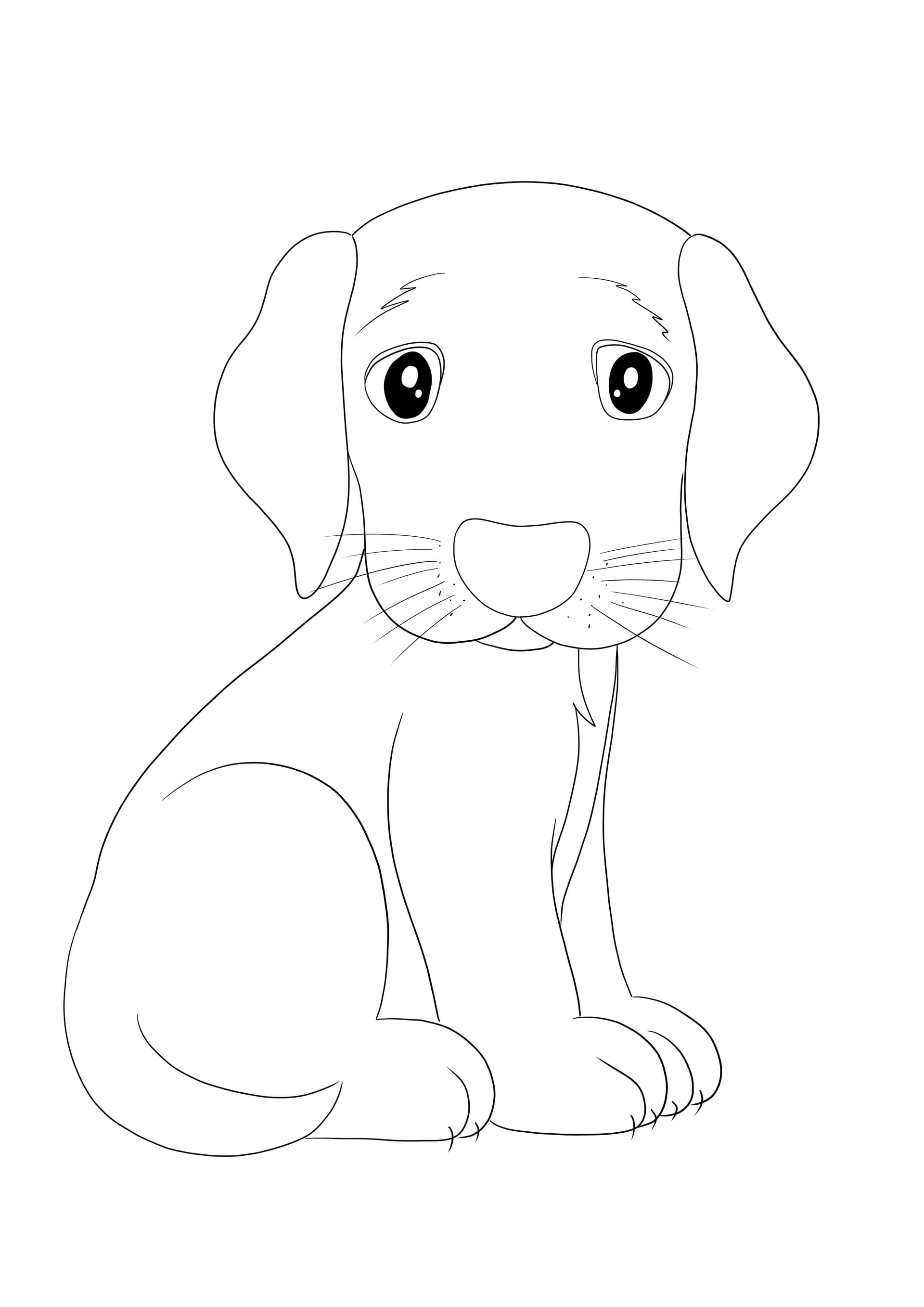 Sad Puppy