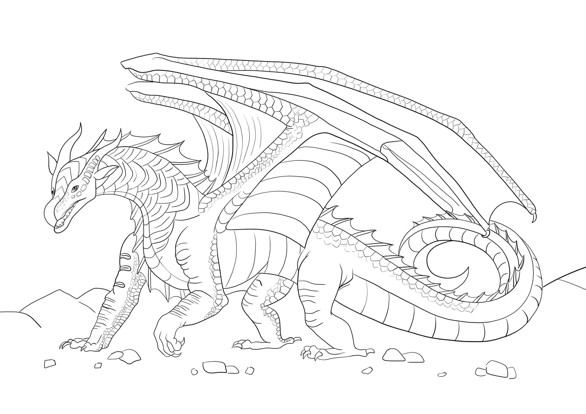 Seawing dragon