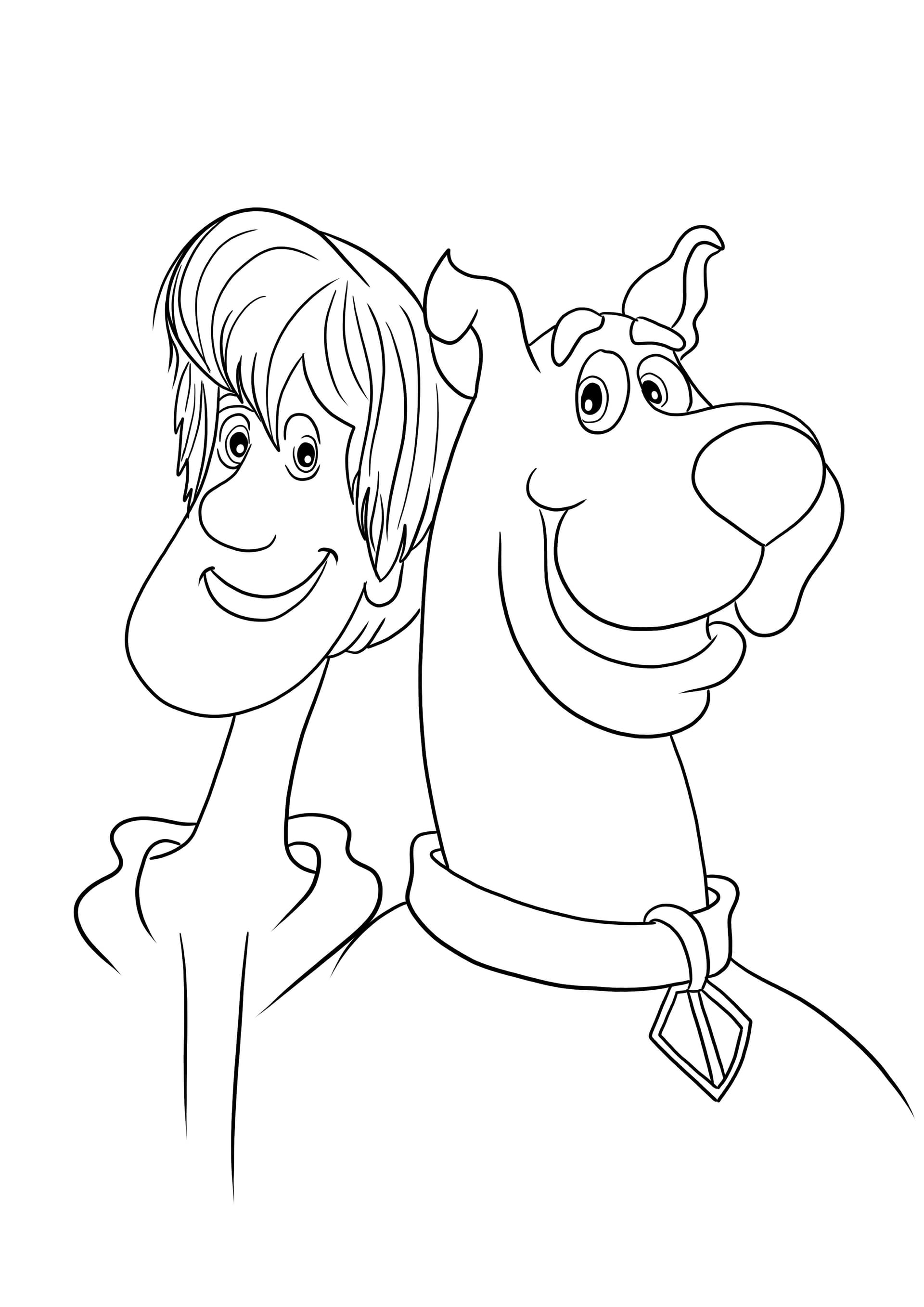 Shaggy and Scooby Doo