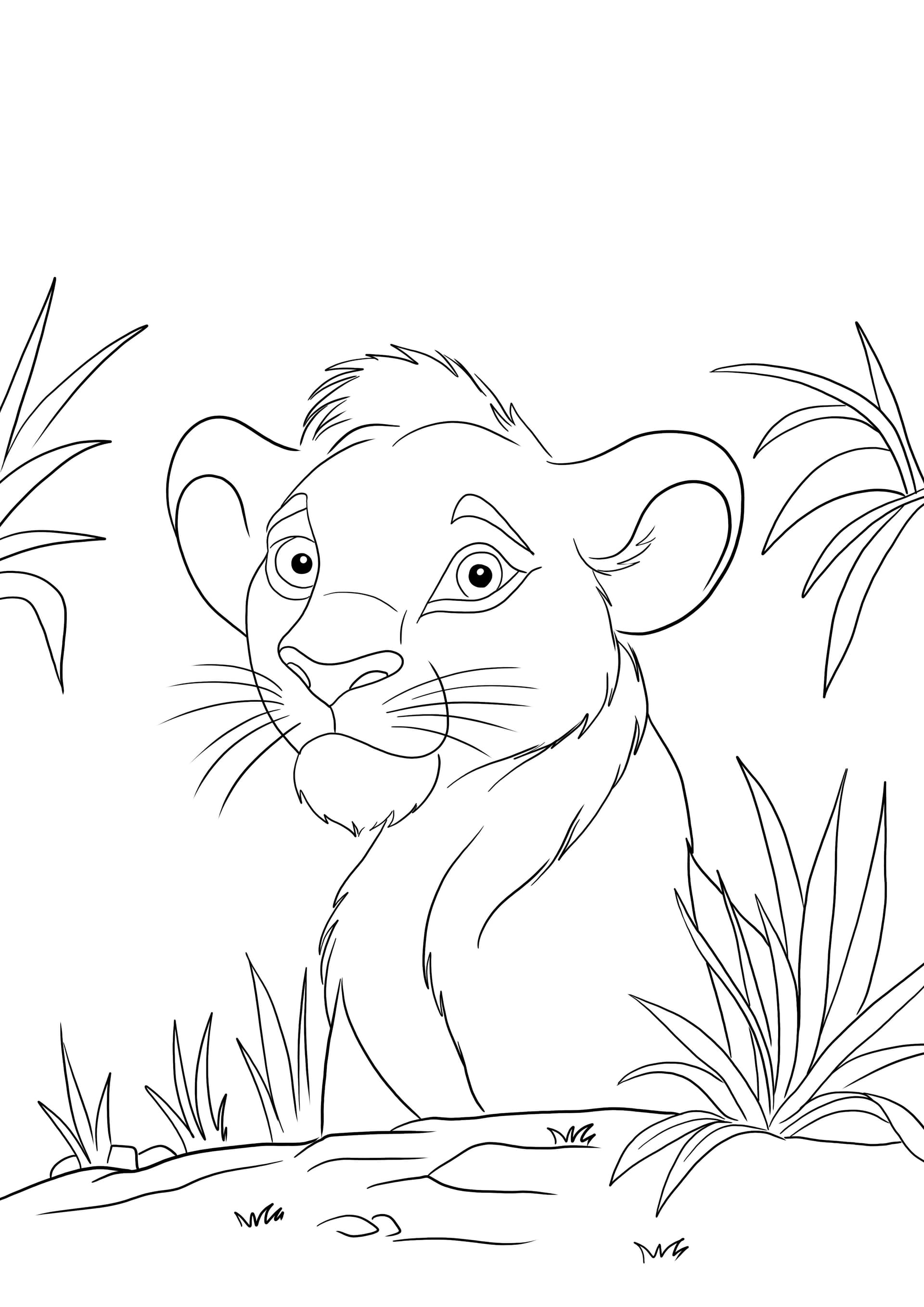 Simba from Lion's King