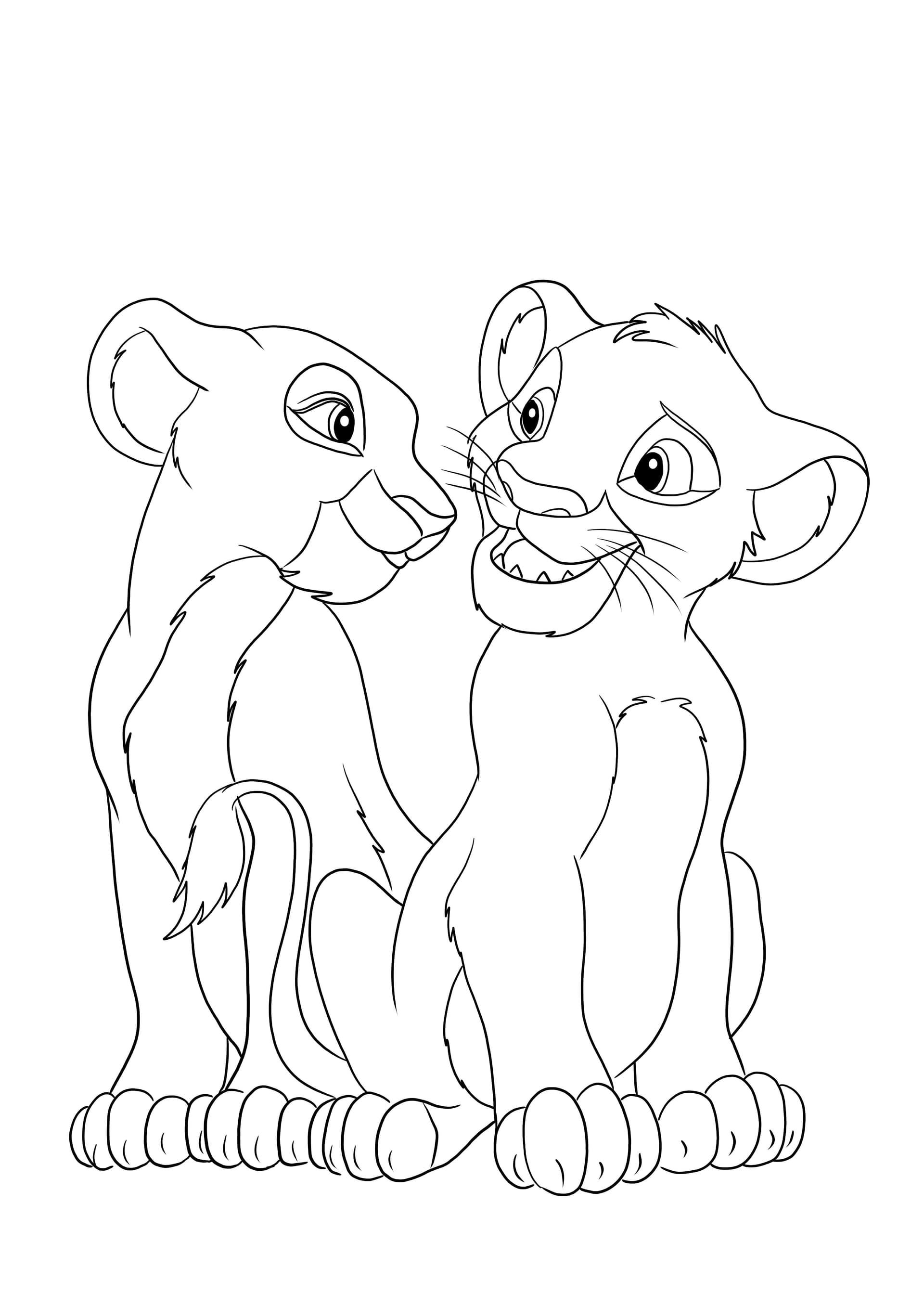 Simba mirroring