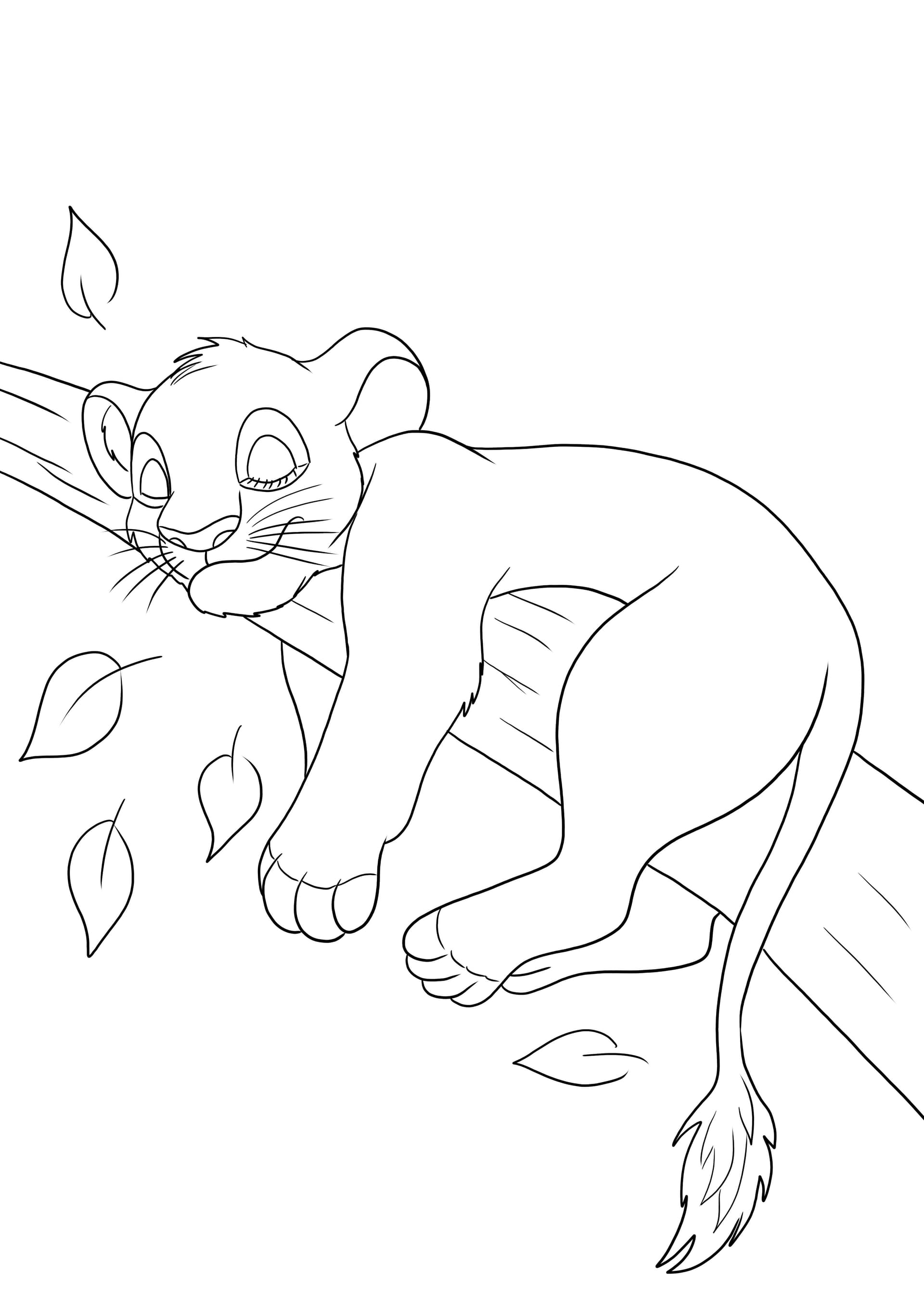 Simba sleeps on a tree