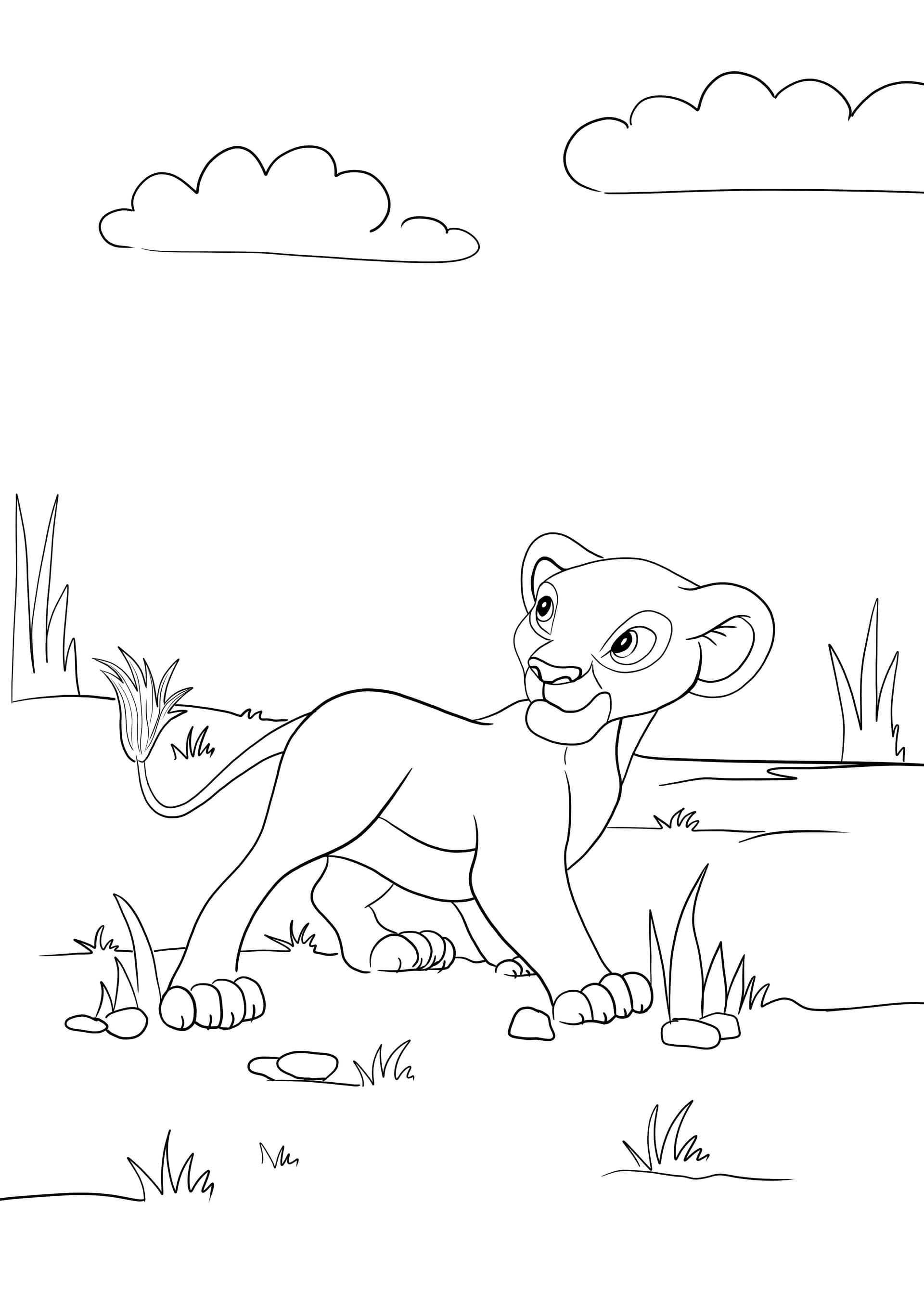 Simba walking
