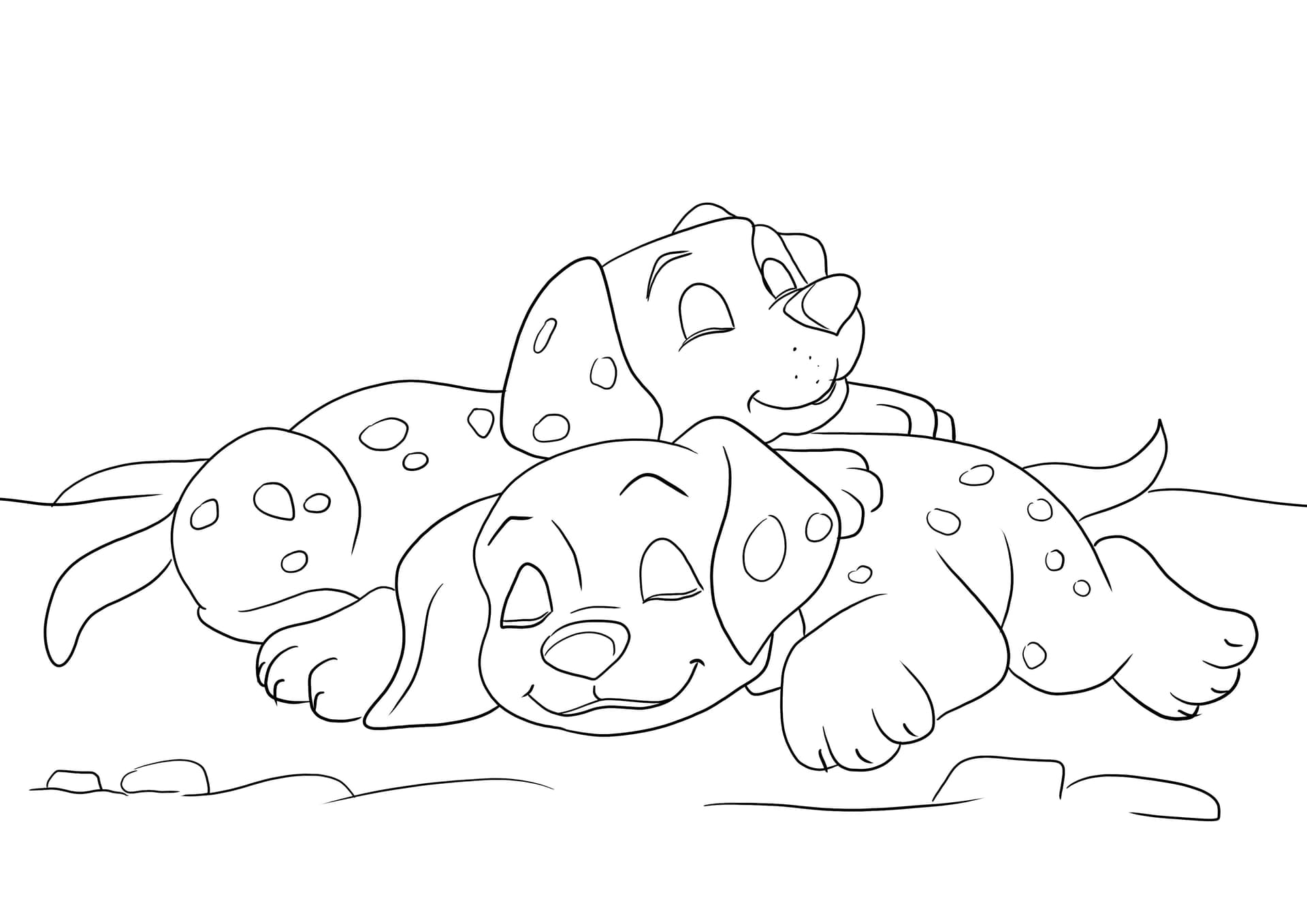 Sleeping Dalmatian puppies
