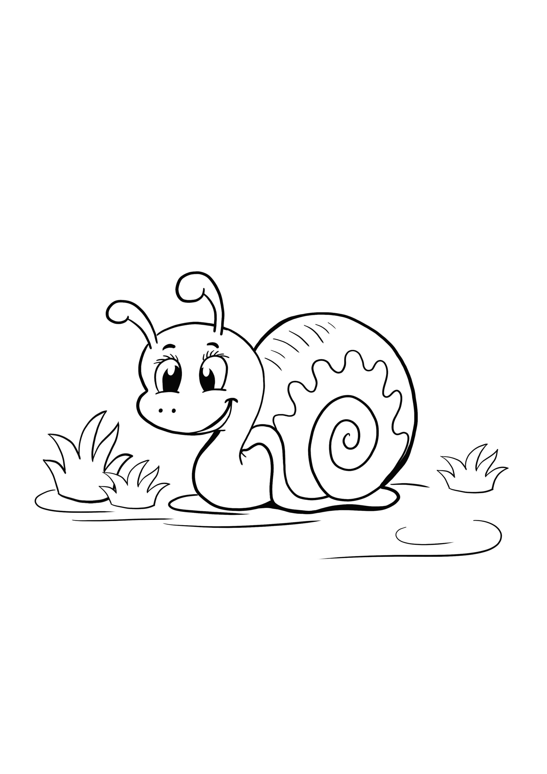 snail