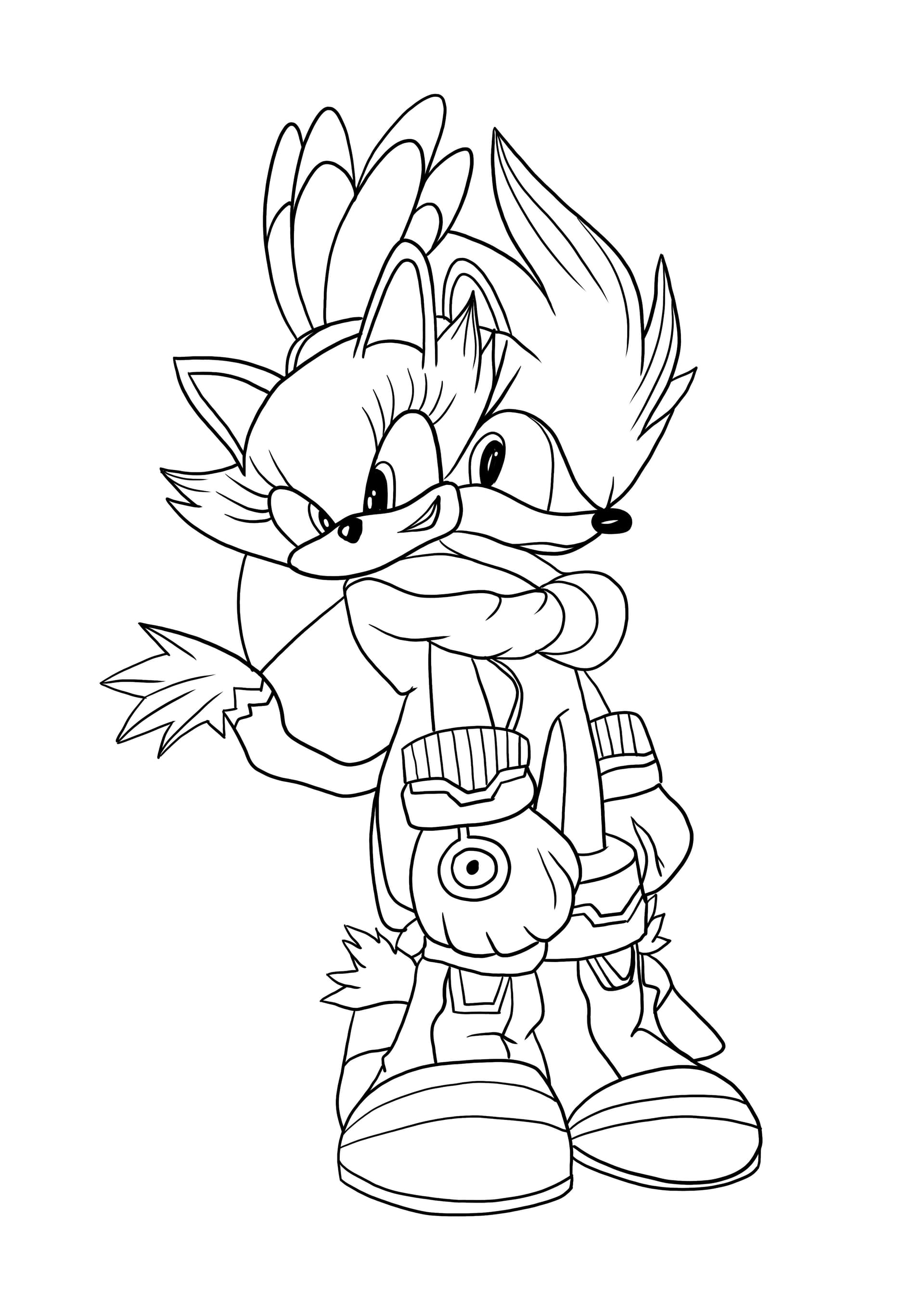 Sonic and Blaze