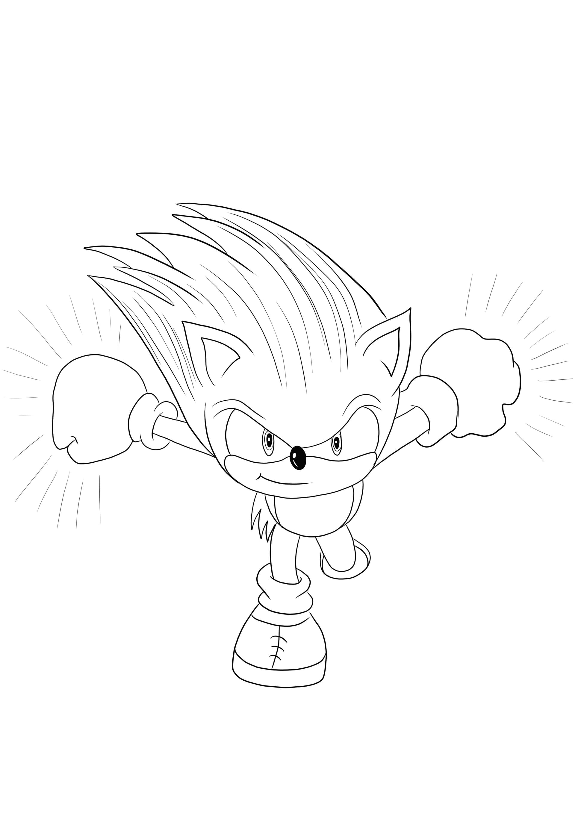 Sonic character