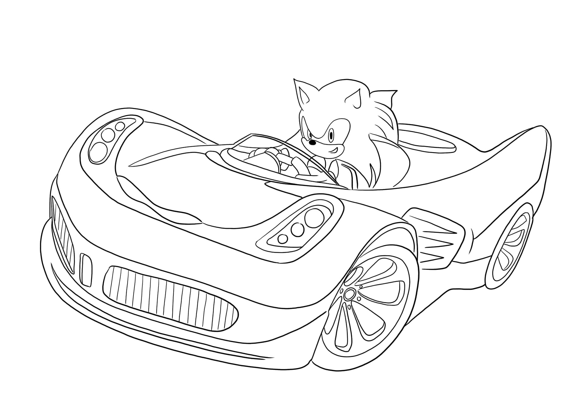Sonic riding a car