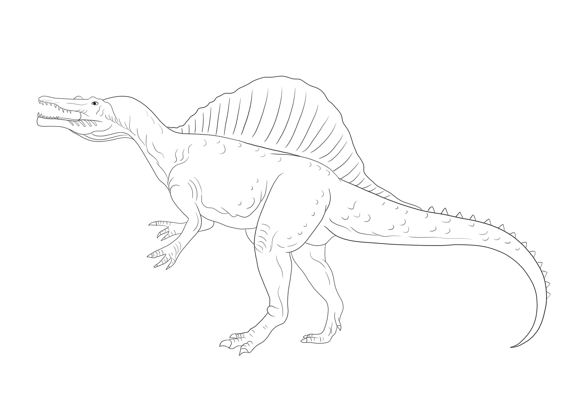 Fierce Spinosaurus