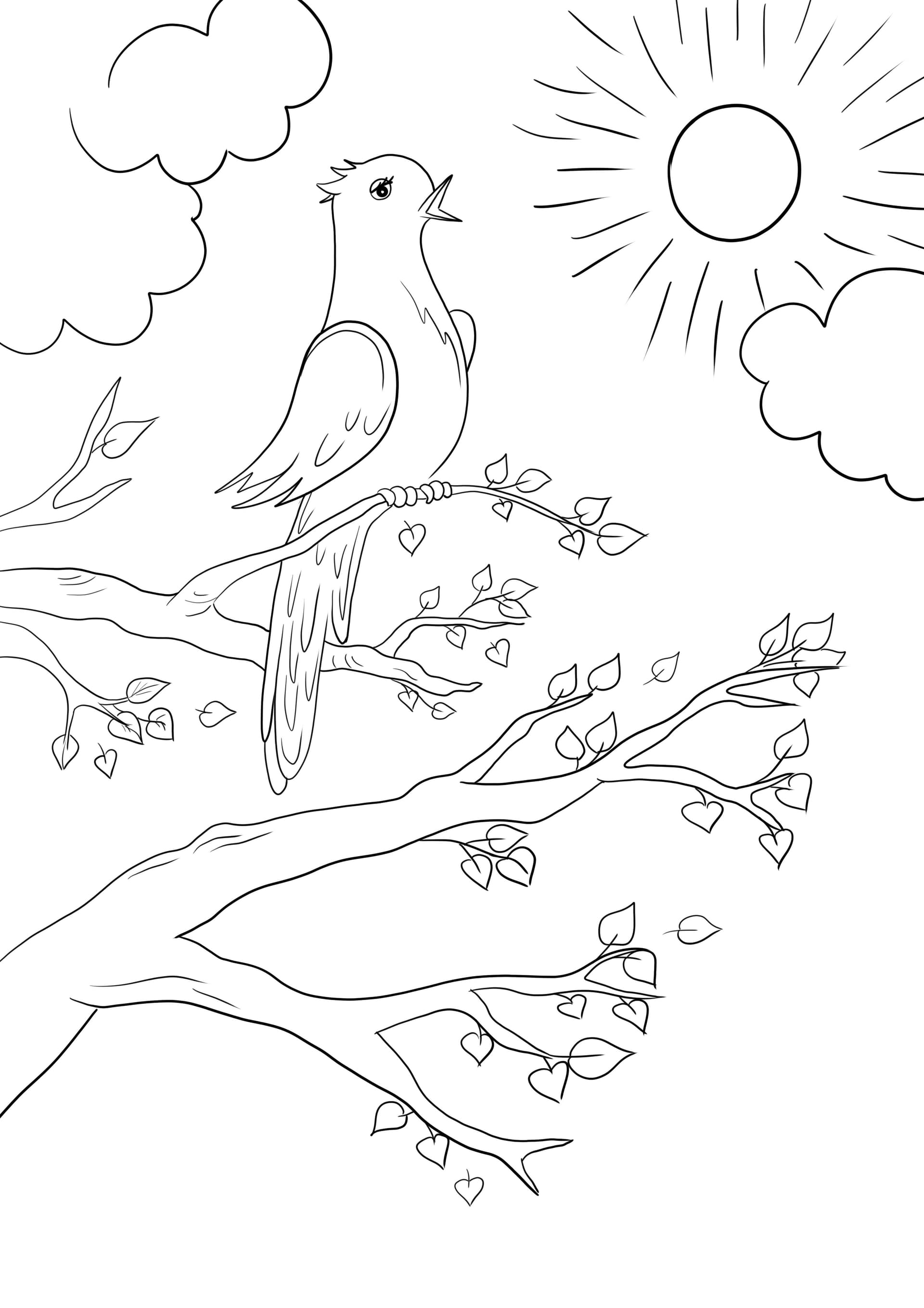 Spring bird singing
