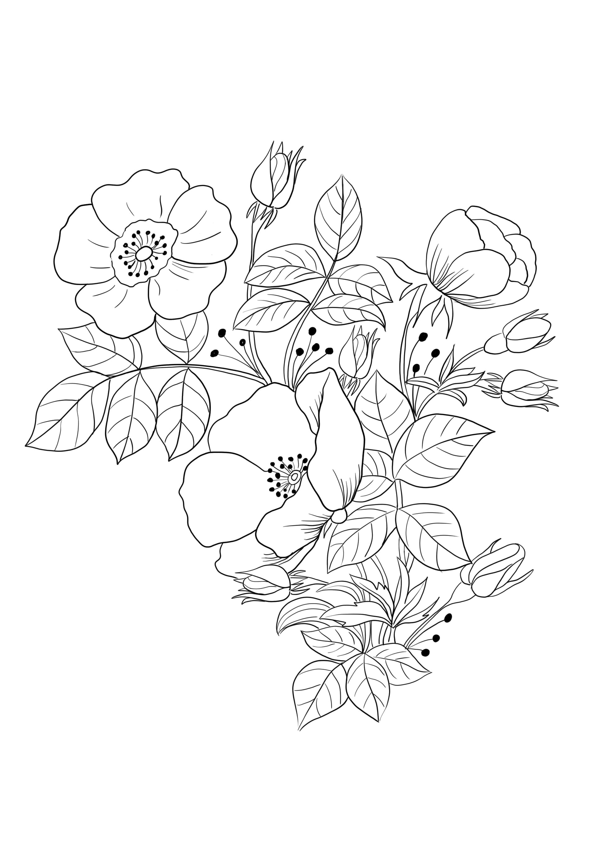 Spring flowers