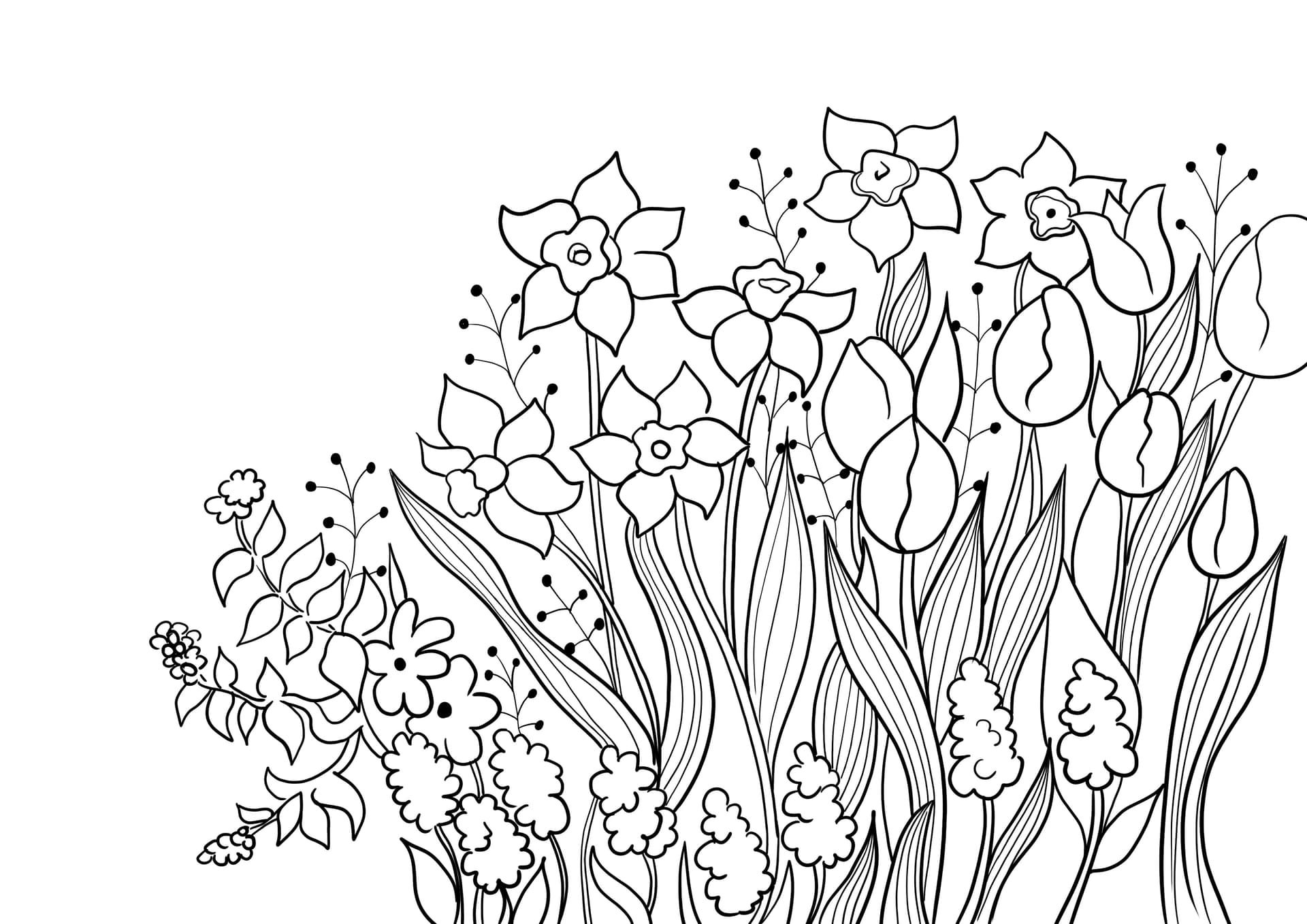 Spring flowers in the garden