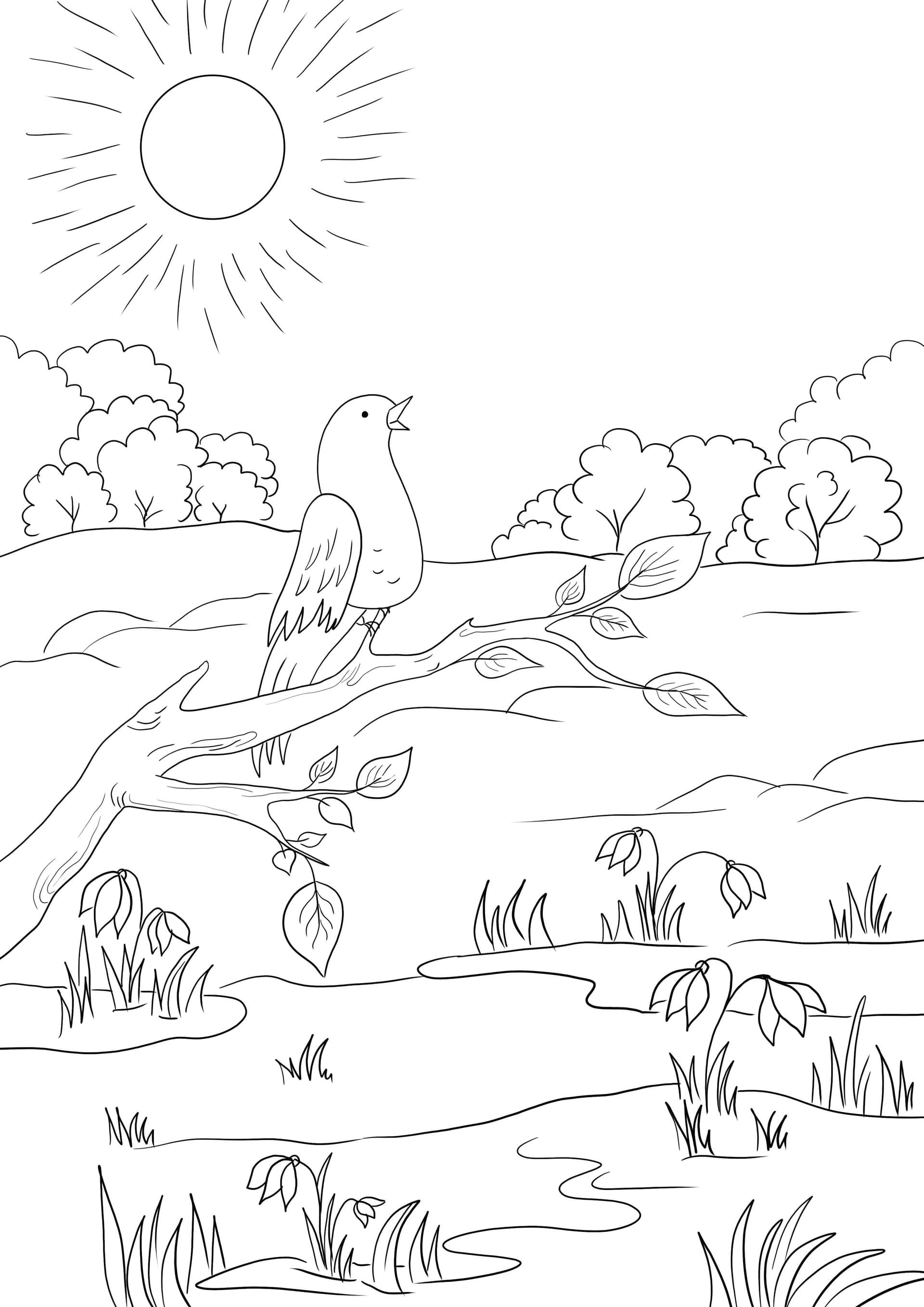 Spring Scene