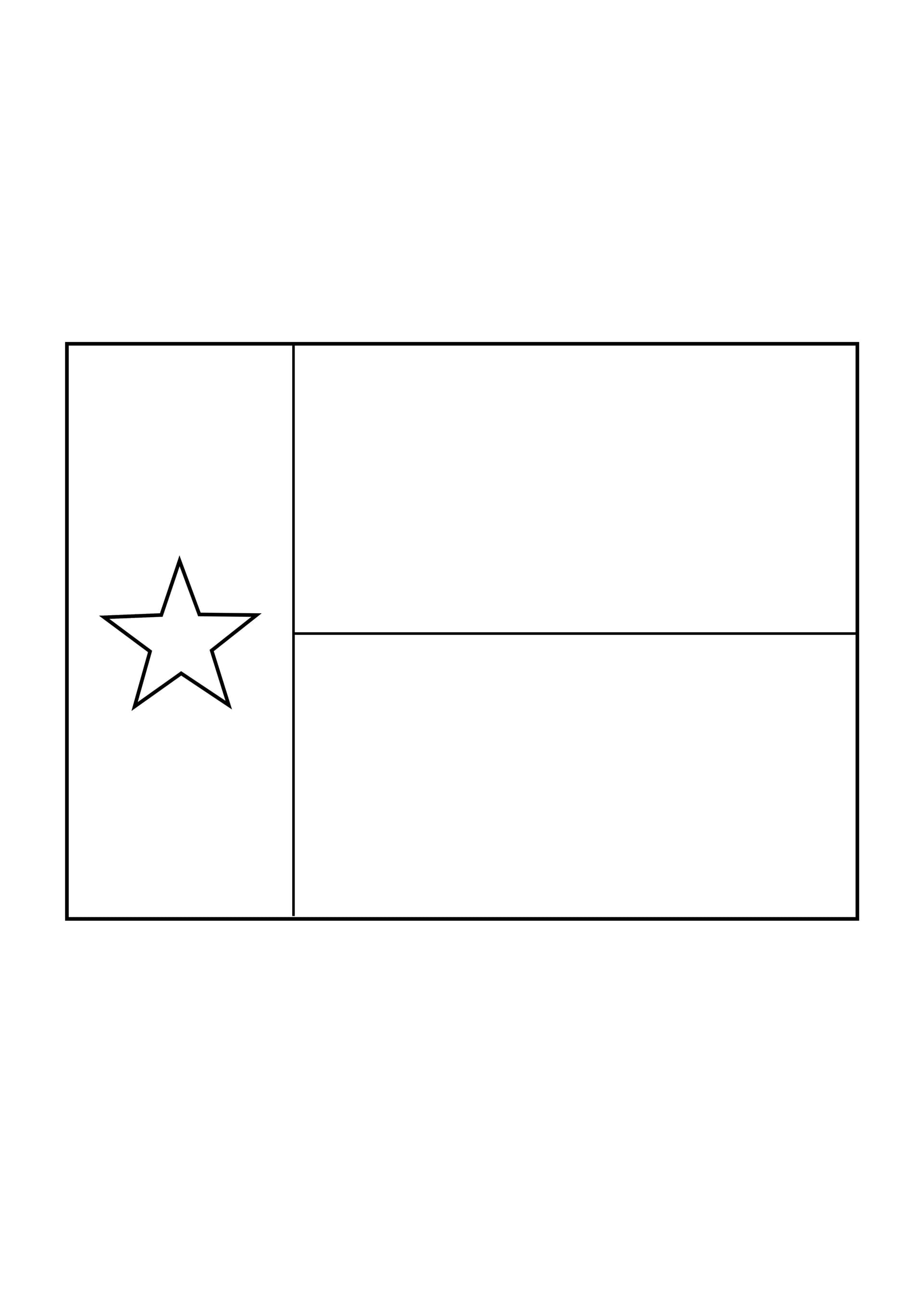 Texas flag
