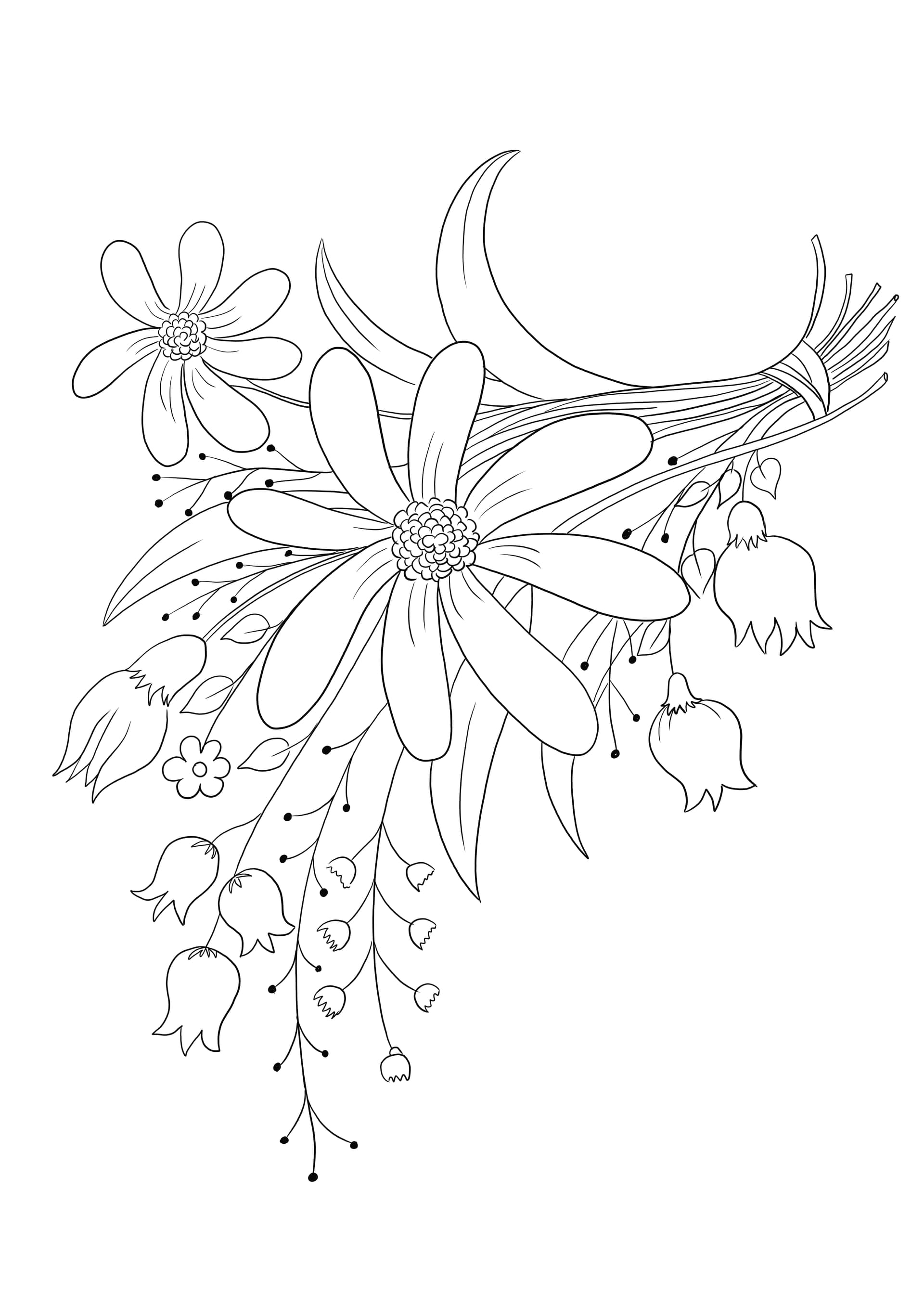 Summer flowers