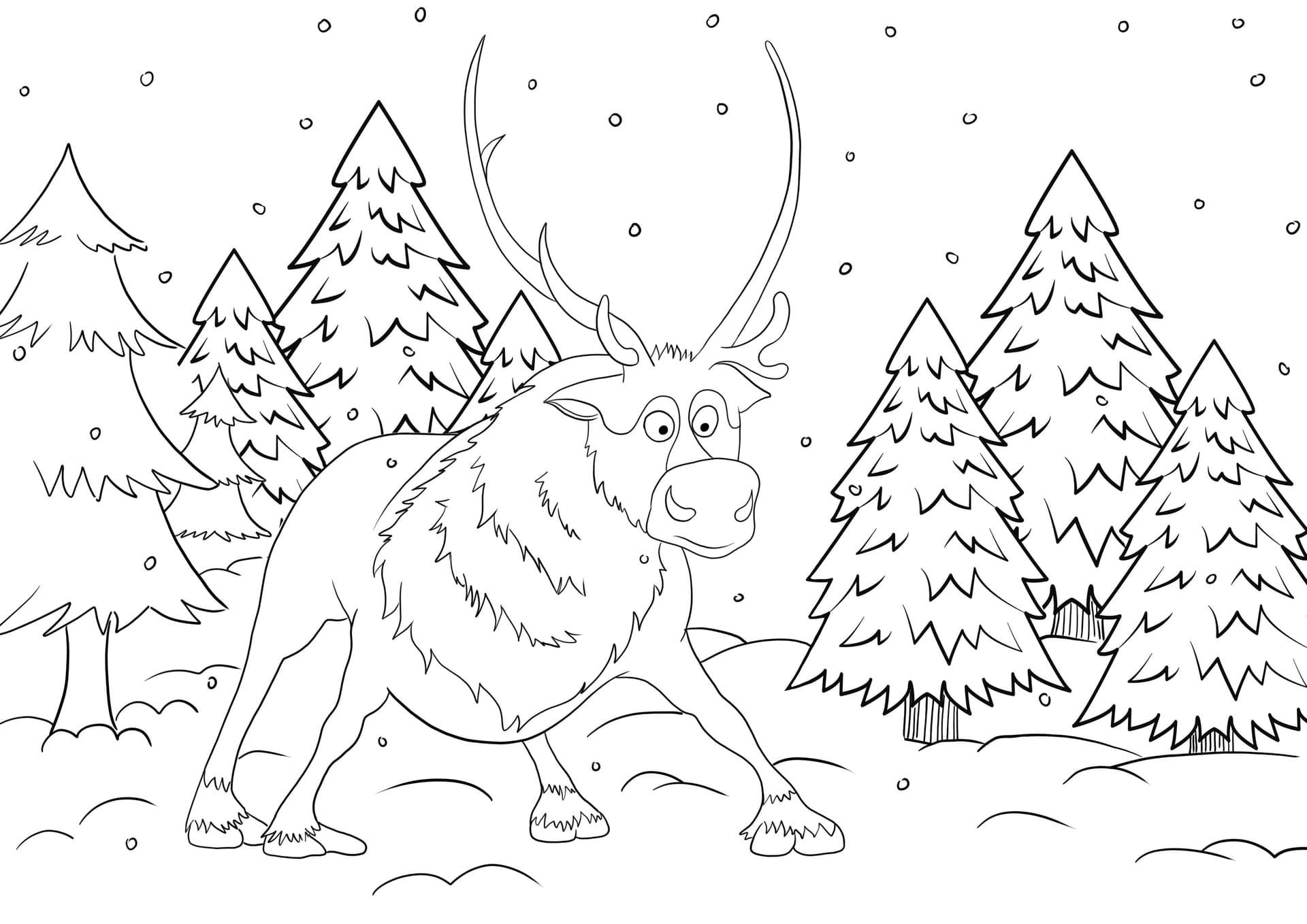 Swen in the woods