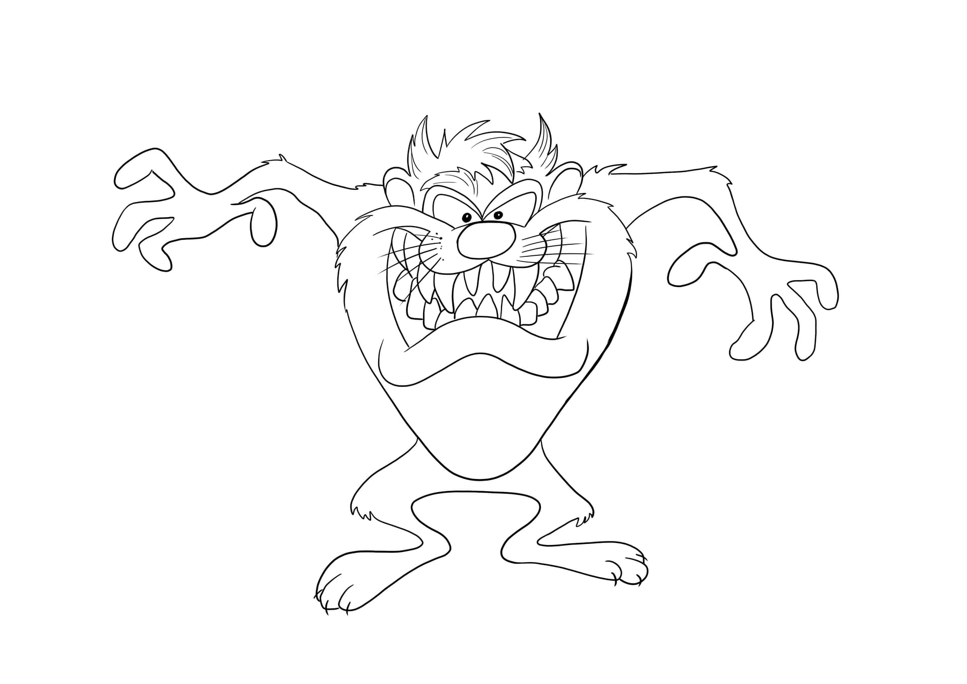 Taz