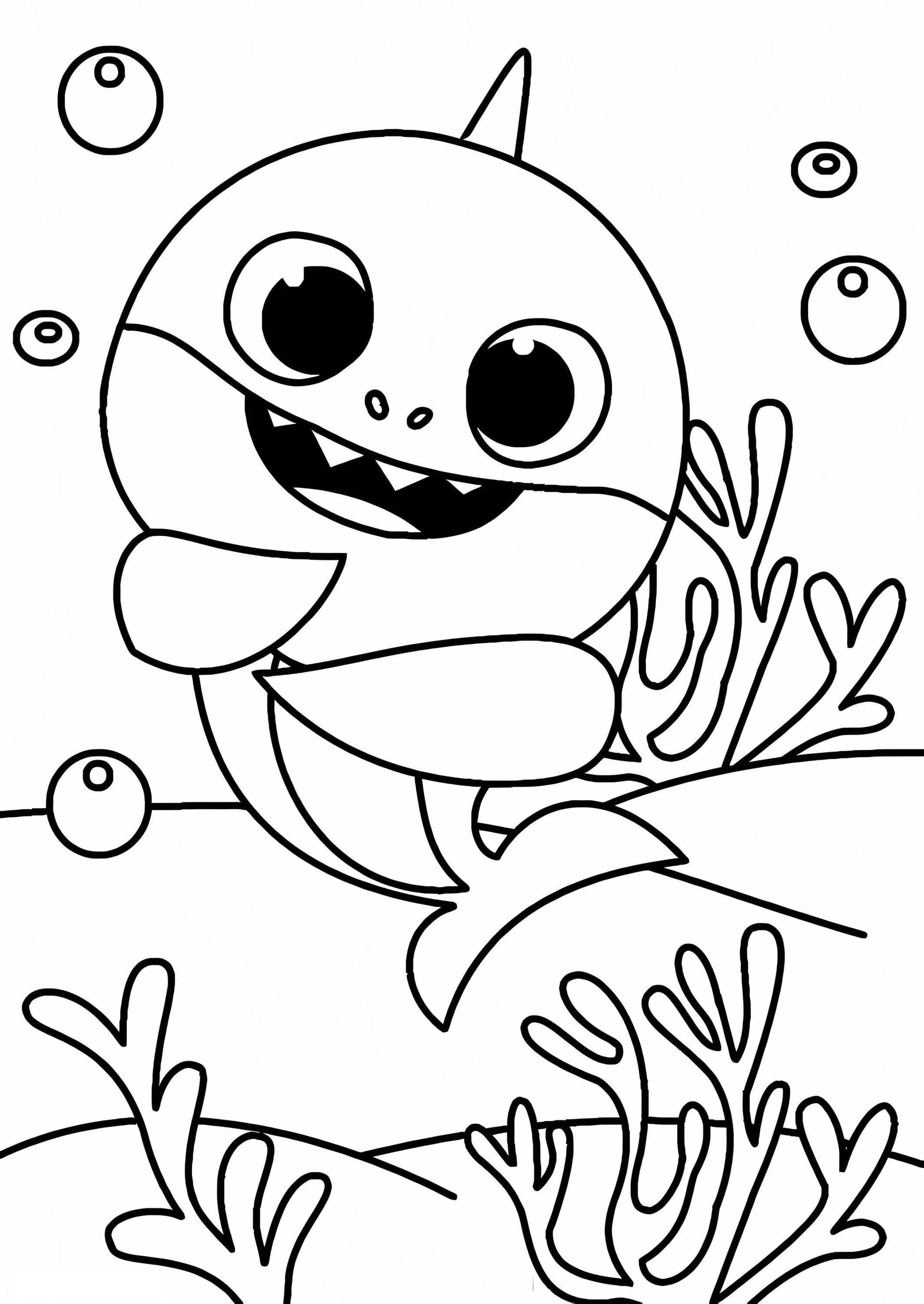 Tiburon Lindo Bebe