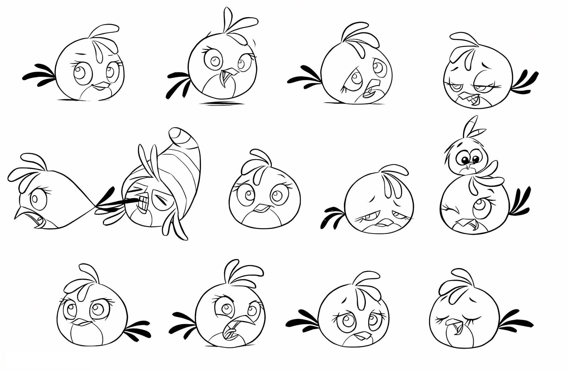 All Types Of Angry Stella Birds