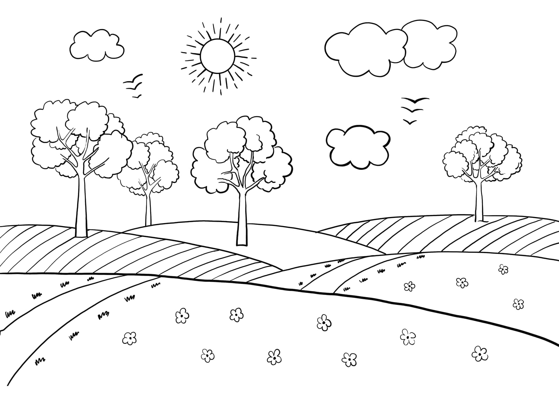 trees in the field